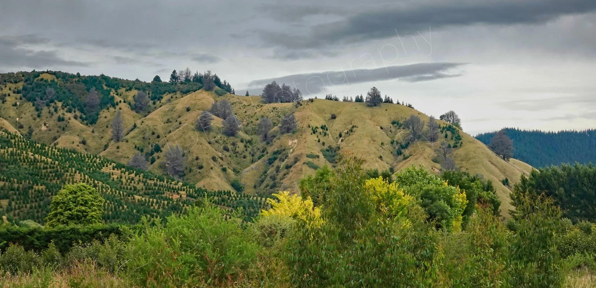 An interesting shaped hill in Marlborough, New Zealand with a dynamic mix of green, yellow and grey colours with a cloudy shy.