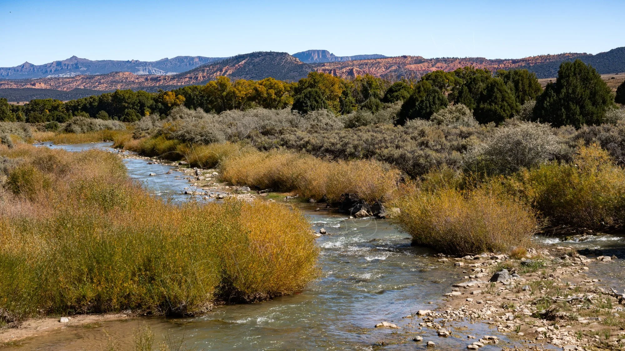 The Sevier River lined by grasses and shrubs winding through the high-desert landscape of Southern Utah with cliffs in the distance.