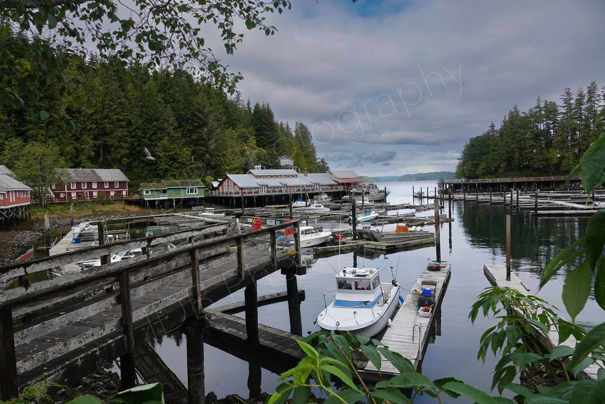 Telegraph Cove, the jetty, pontoons and boats can be seen, with a tree lined view out to sea. Vancouver Island, BC, Canada.