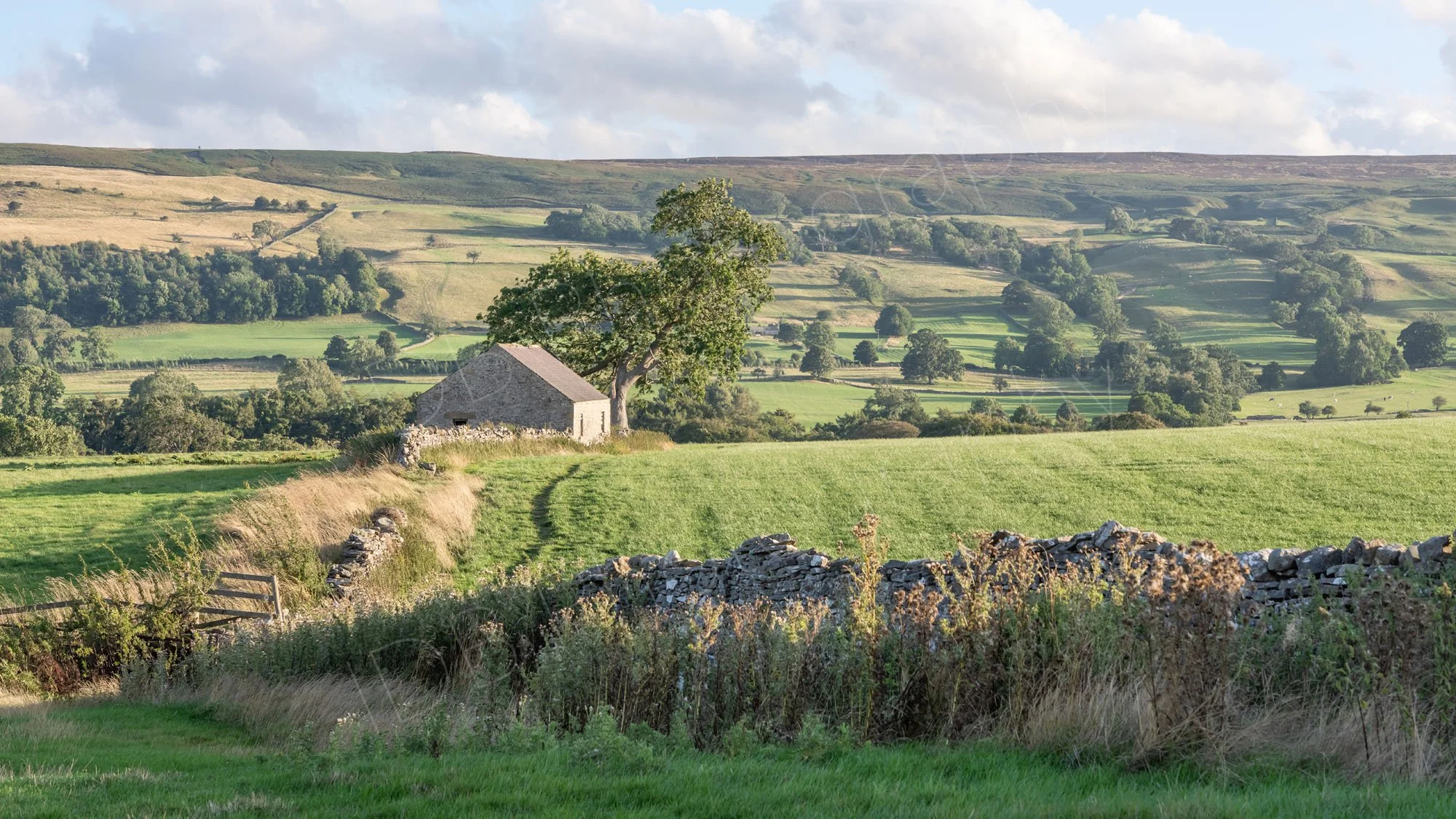 A view down a dry stone wall towards a stone barn, with fields and hillside with scattered trees, pale cloudy blue sky.