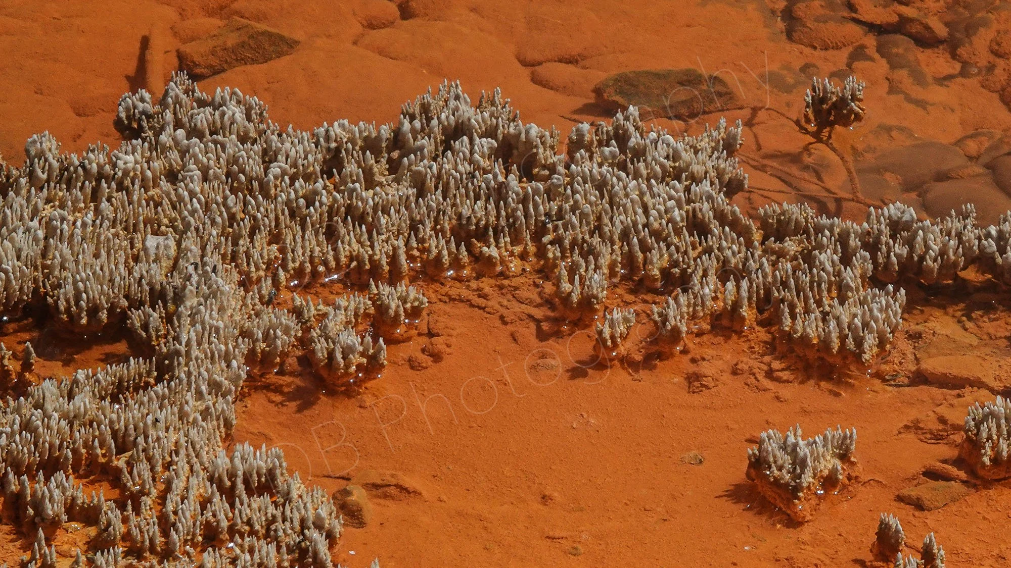 Creamy mineral deposits on an orange background growing in the water at Waiotapu Champagne Pool, Rotorua, New Zealand.