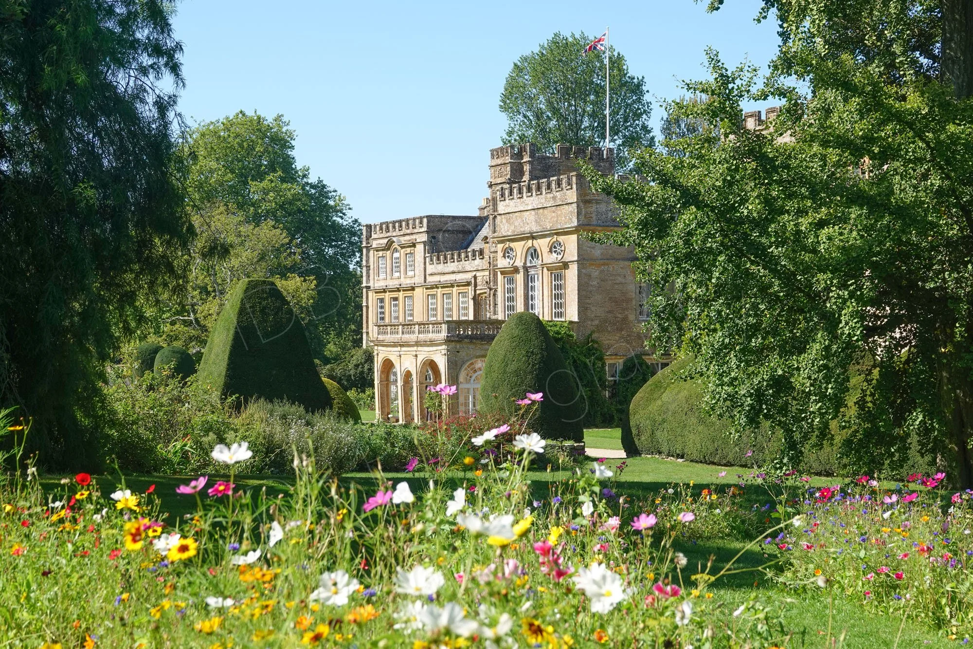 Forde Abbey, Dorset flanked by topiary bushes and trees with a beautiful foreground of "wild" flowers under a blue sky.