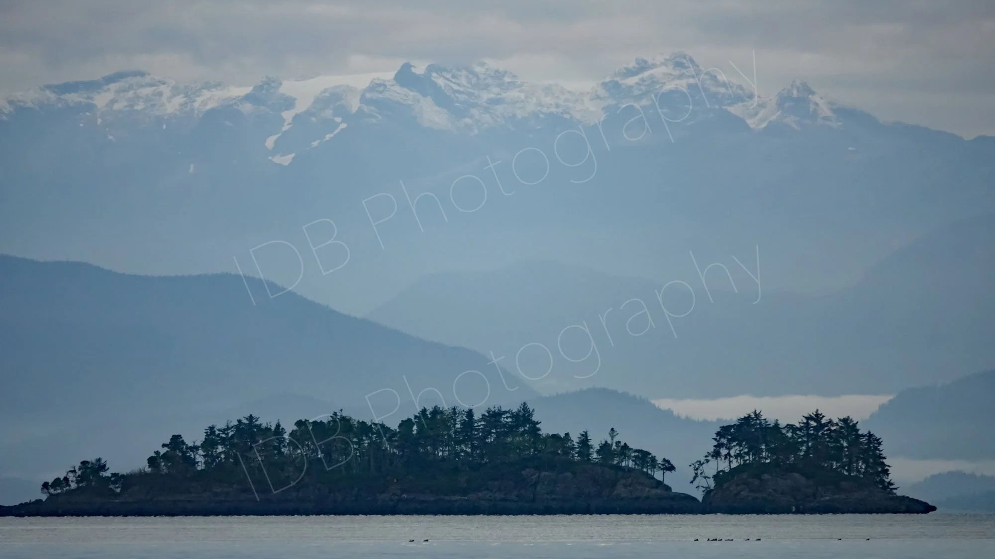 A serene view from northern Vancouver island across Johnson's Straight with forested islands and the snow capped Rocky Mountains in the distance.