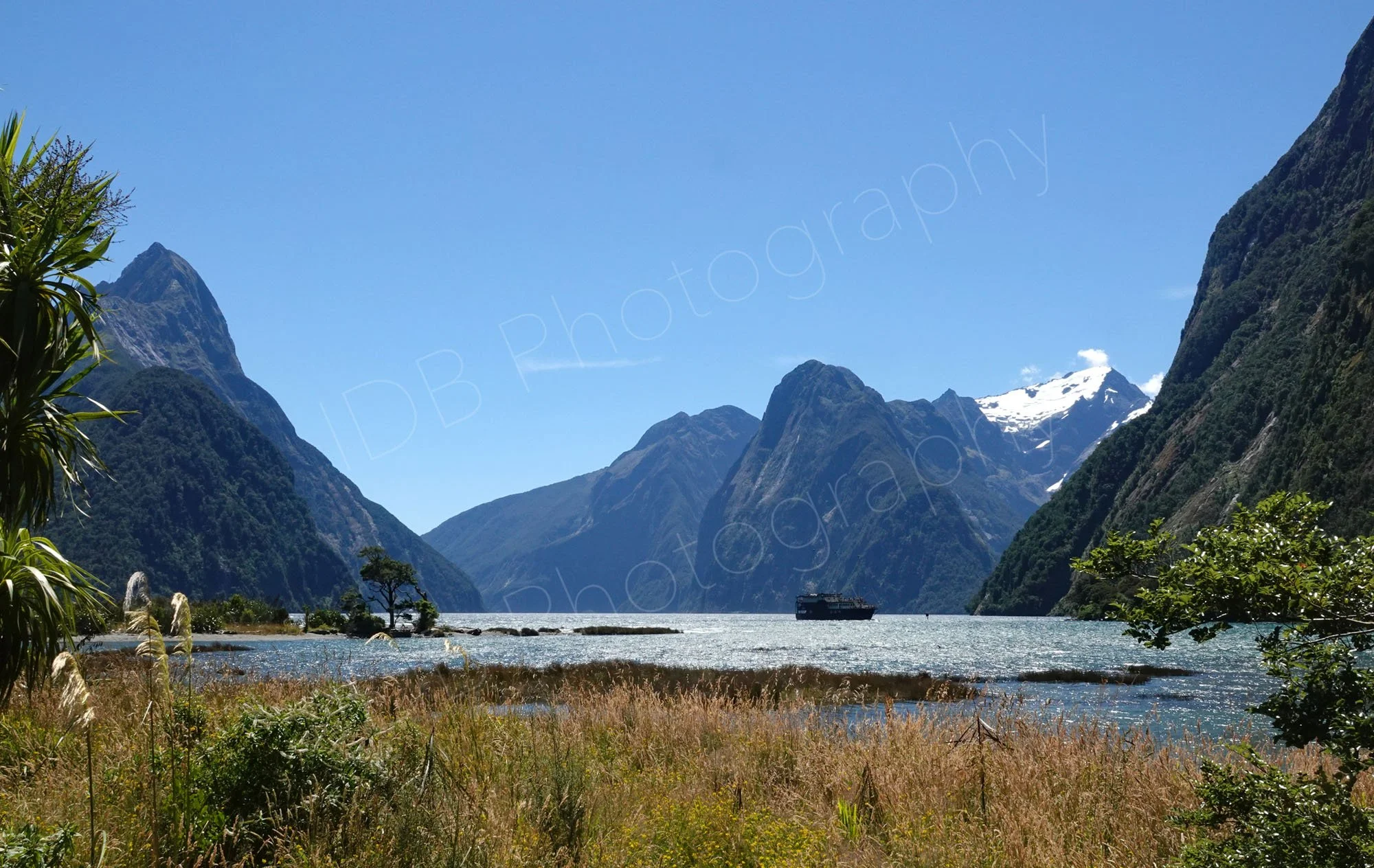 Milford Sound, Fjordlands, NZ, in sunshine from the shoreline with steep mountains, snow capped peak and a boat on the water.