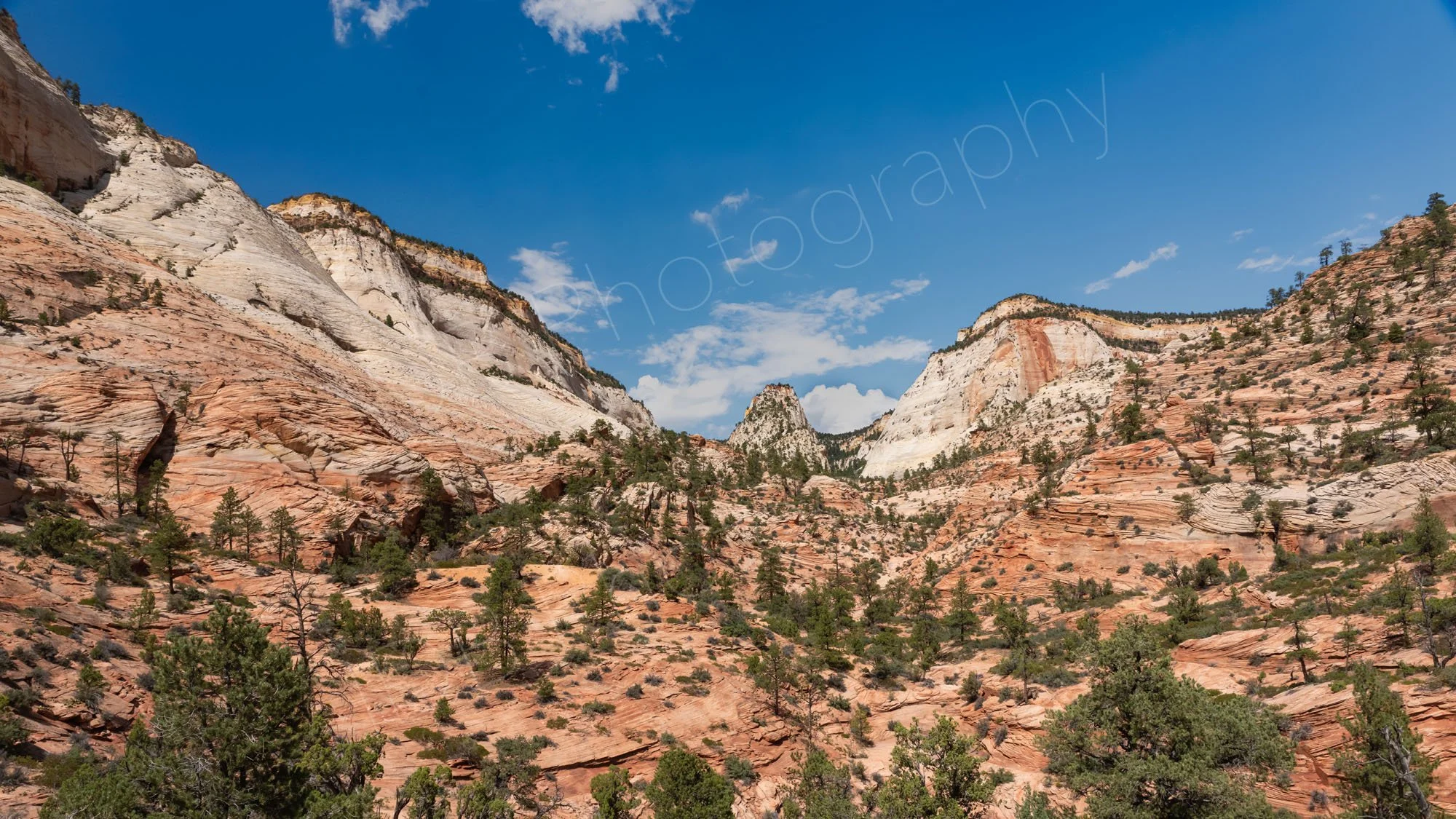 Rugged red and white Navajo Sandstone canyons, pinyon pines, sweeping desert terrain with blue sky at Zion National Park, Utah. 