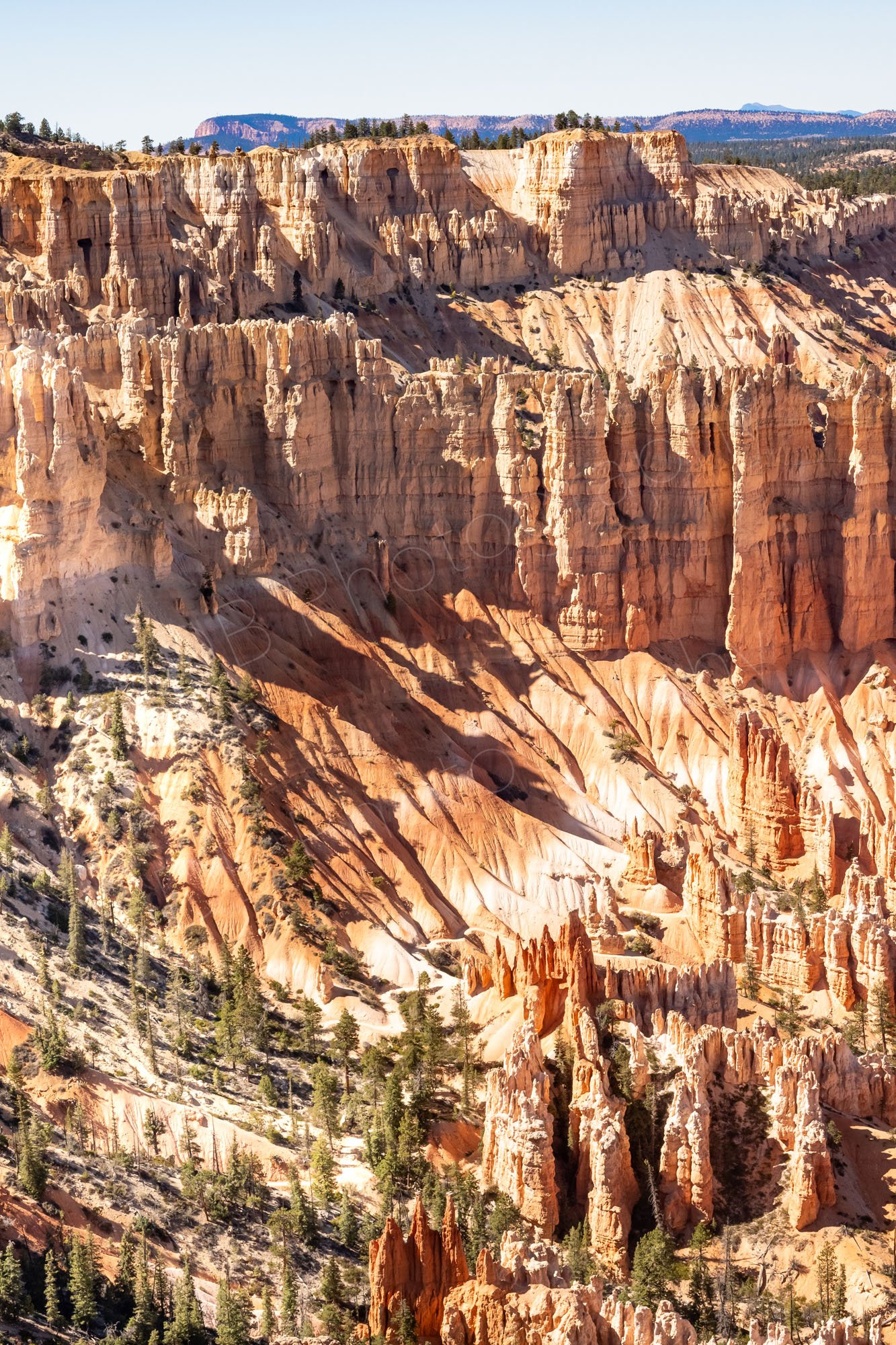 Hoodoos and scattered pine trees at Bryce Canyon amphitheatre, Utah with a pale blue sky.