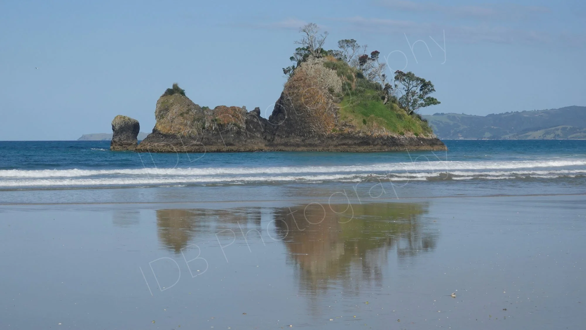 Whangapoua Beach, Coromandel Peninsula NZ, with Pungapunga Island  a tree covered island rising out of the water with reflections on land.