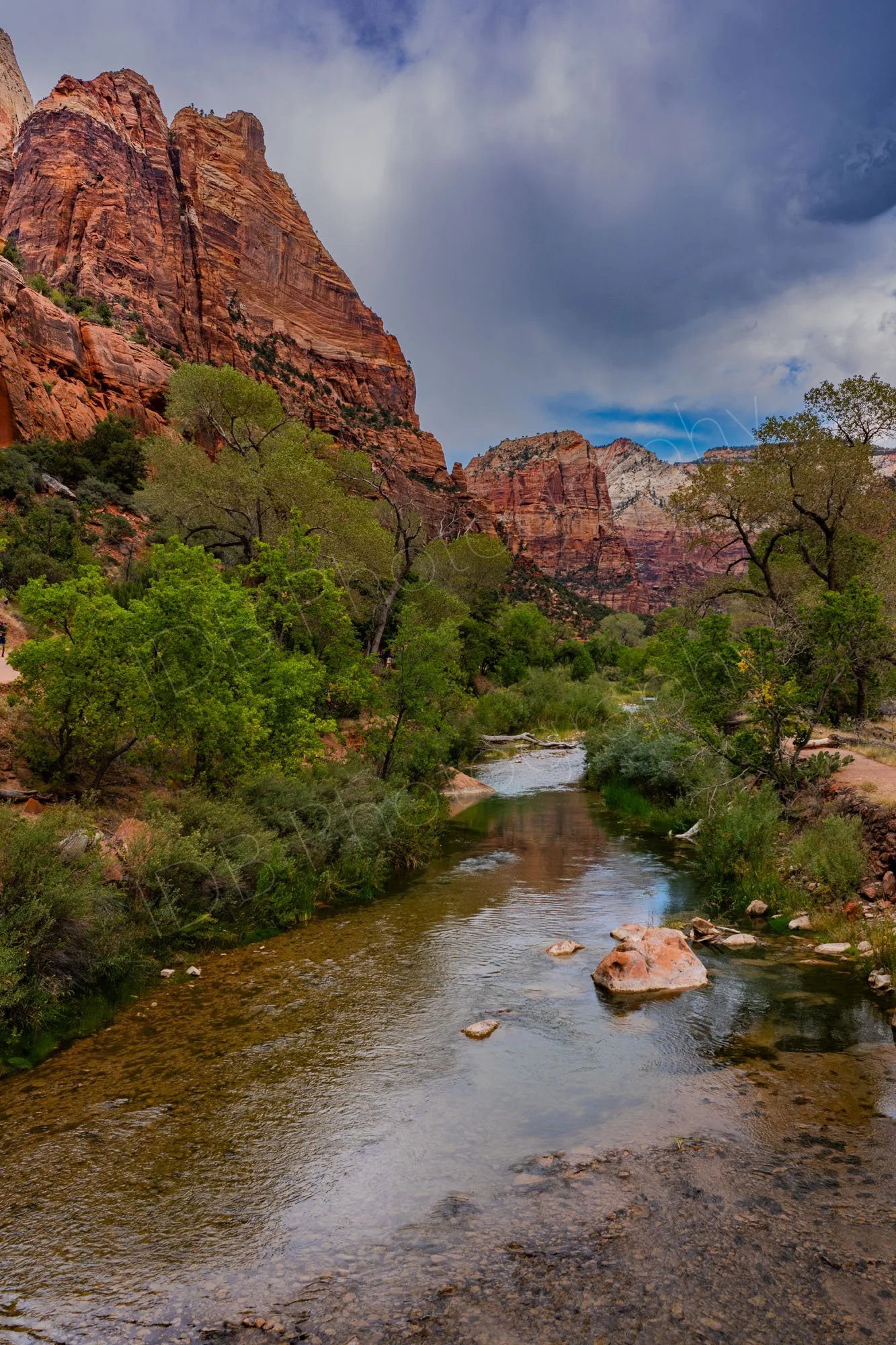 The north fork of the Virgin River in Zion Canyon in Zion National Park, Utah; trees line the river, storm clouds starting to gather.