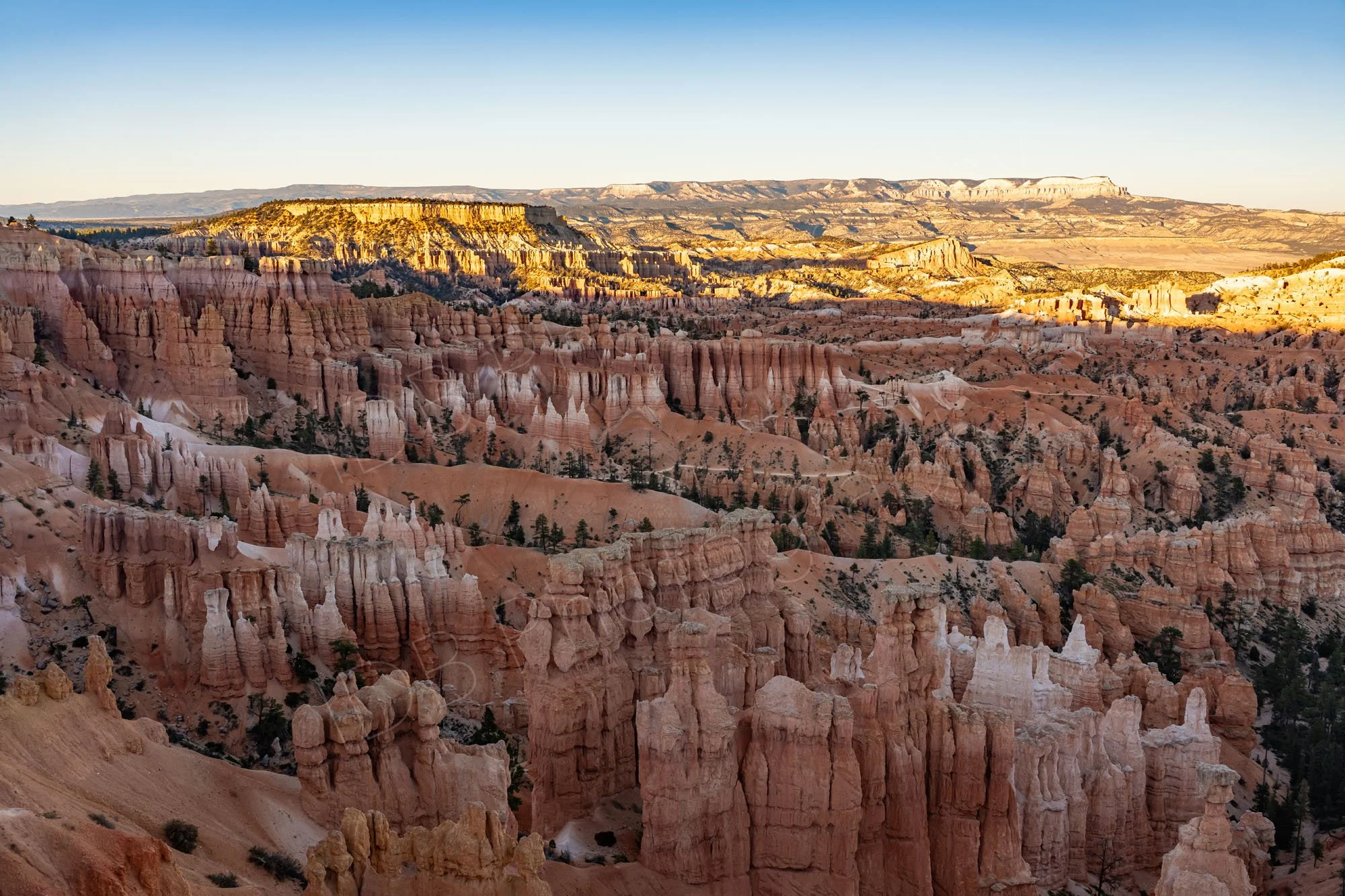 Bryce Canyon hoodoos with late afternoon sun on the Aquarius Plateau in the distance.