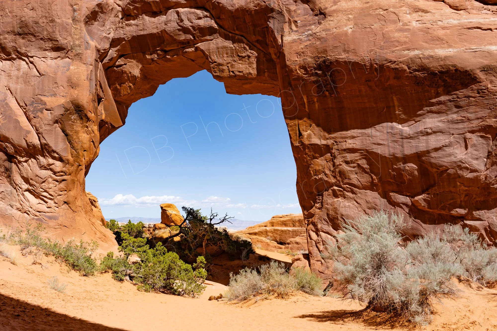 The large Pine Tree Arch located in the Devils Garden area of Arches National Park,Utah with view through to other rocks, shrubs and sky.