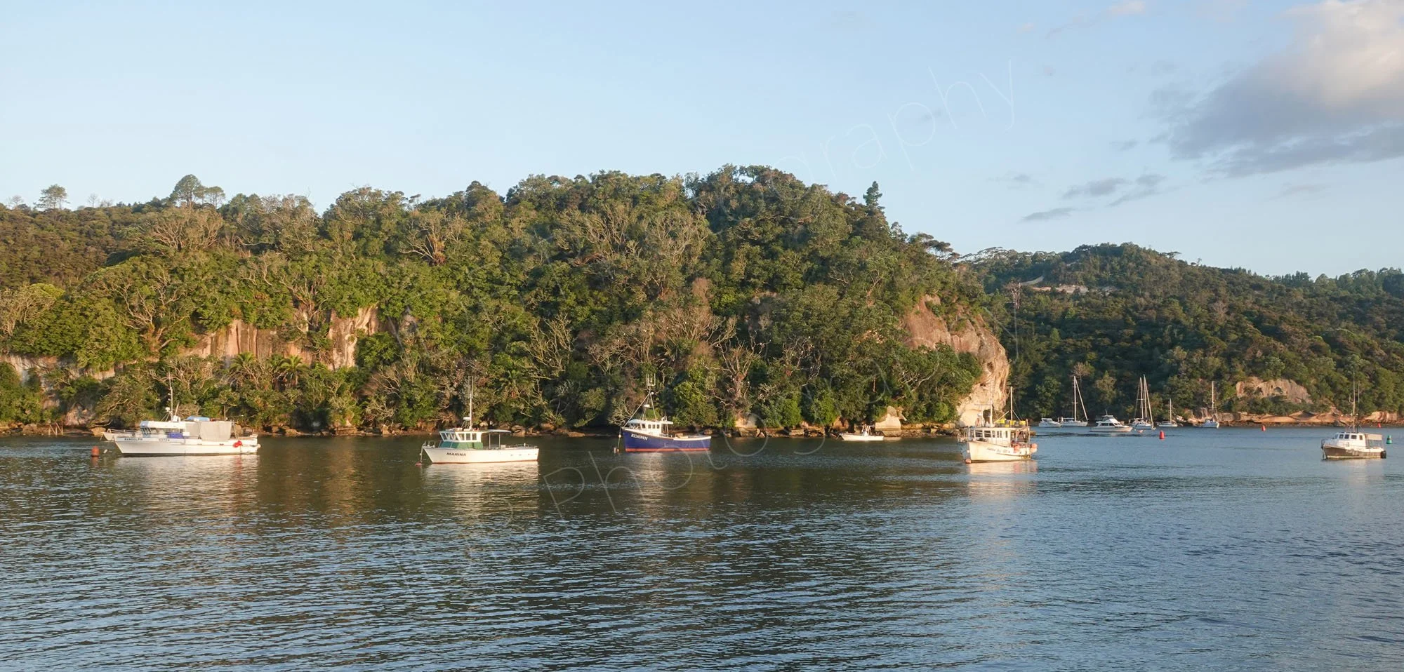 Panoramic type image of Whitianga harbour, Coromandel Peninsula, NZ with a group of small boats, rocks and trees in the background., 