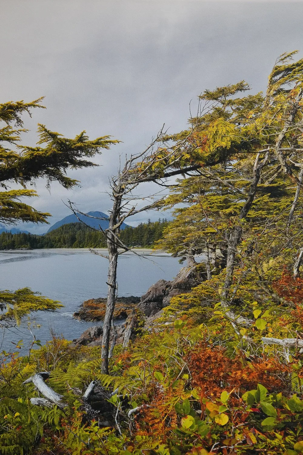 Vancouver Island, wild pacific trail