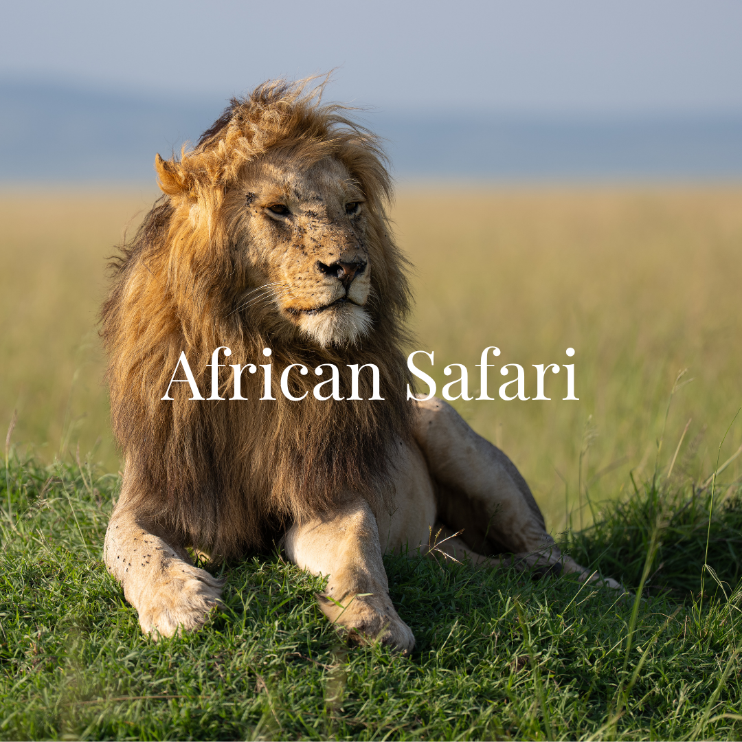 A male lion sitting on grassy plains, with the word 'Kenya' overlaid.