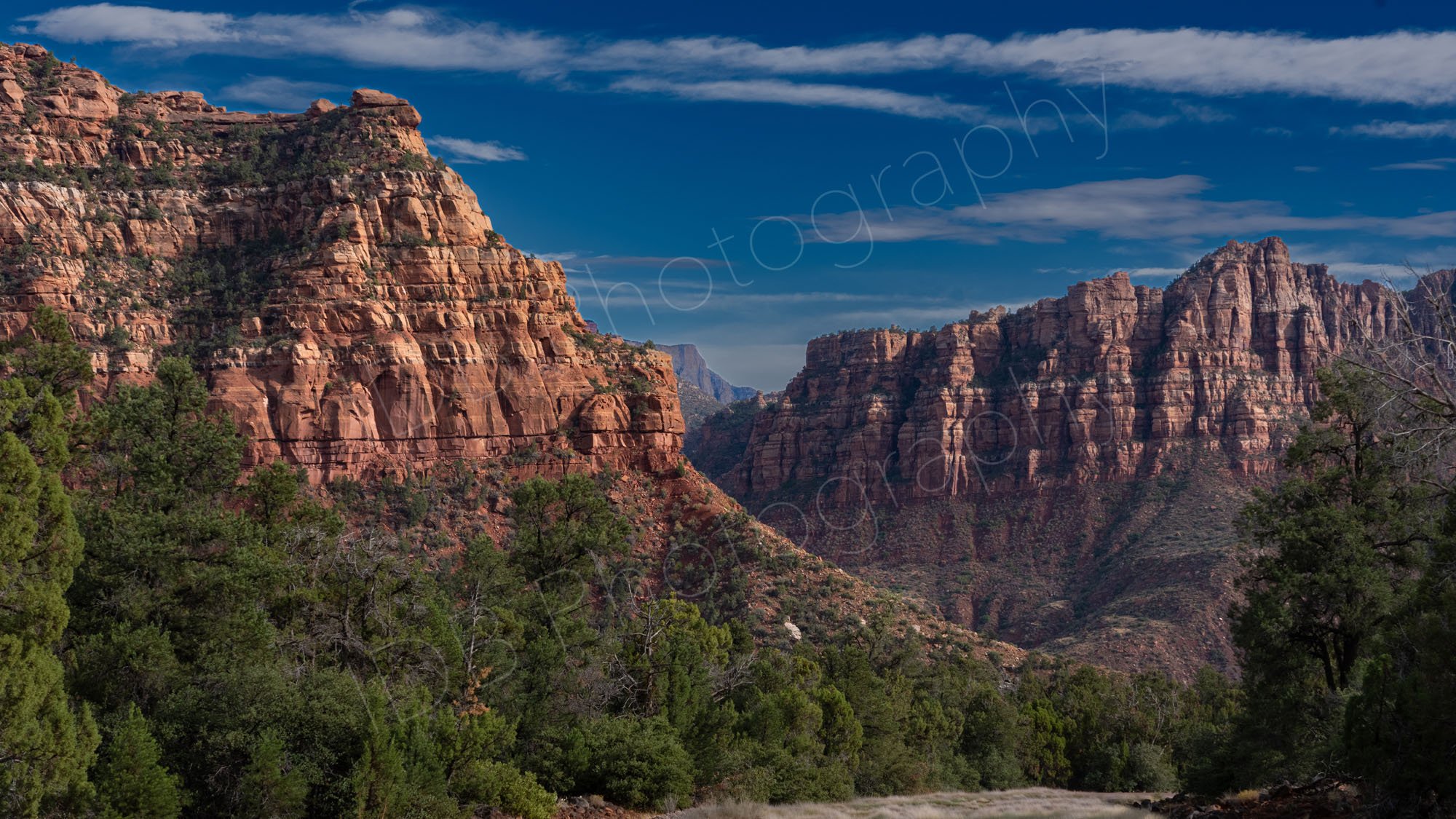 Dramatic banded mountains of red and buff rock with green trees at base and cloudy blue sky, Kolob Canyons, Zion National Park, Utah.