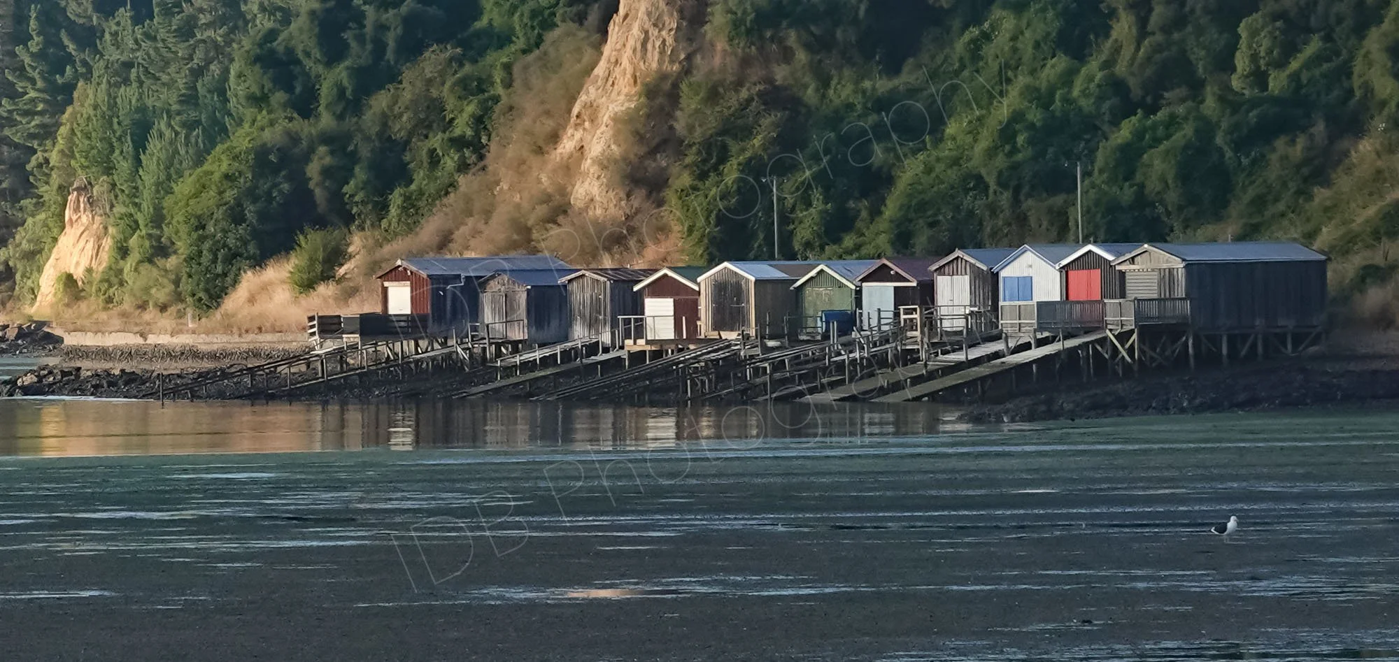 Boat huts with slipways, at low tide, Akaroa Harbour, Banks Peninsula, New Zealand