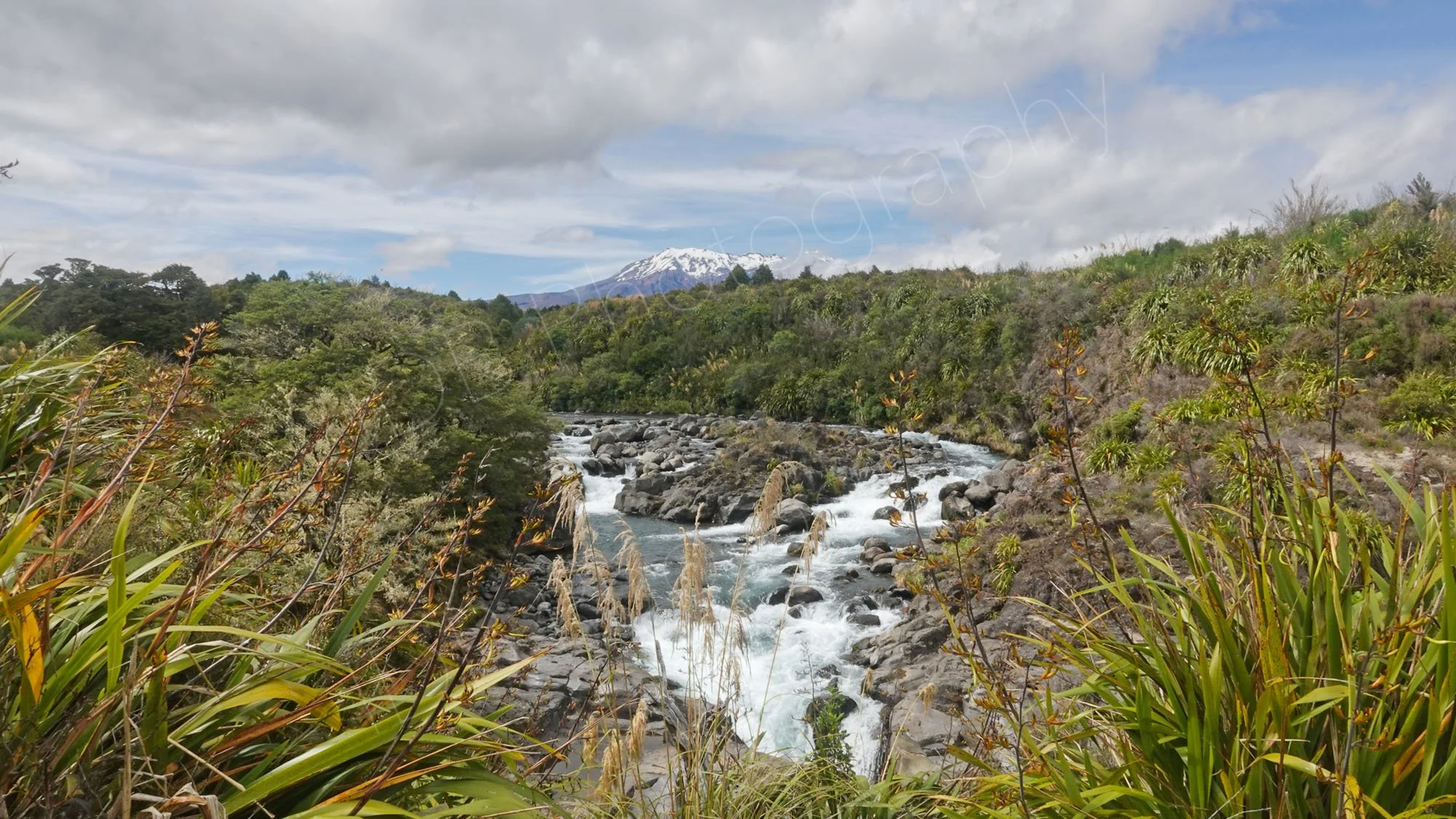 Mahuia rapids, Tongariro, framed in the foreground by NZ Flax and toetoe grass and in the background a snow capped Mount Ngauruhoe.