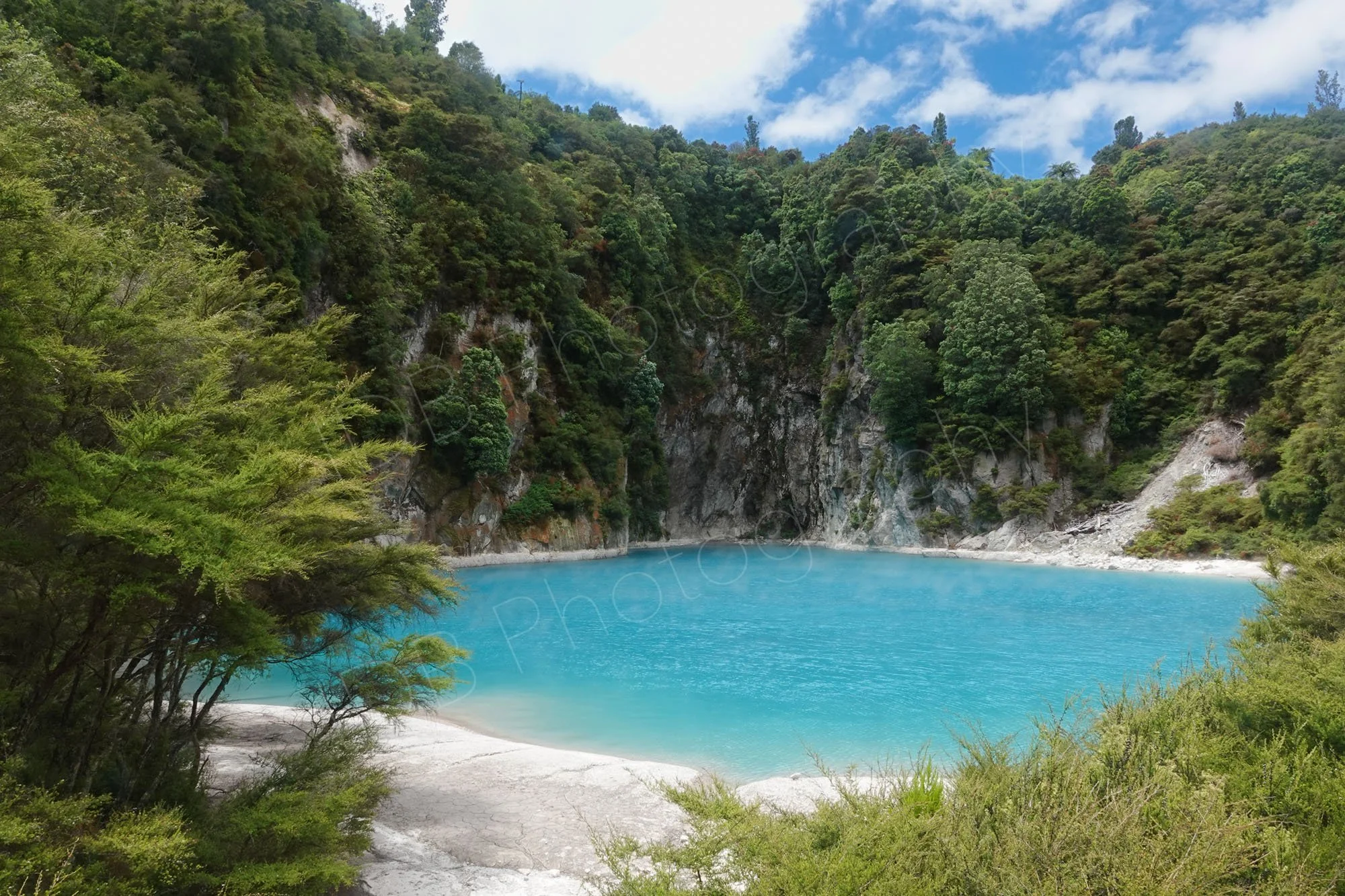 The beautiful blue Inferno Crater Lake surrounded by trees at Waimangu Volcanic Valley, New Zealand.