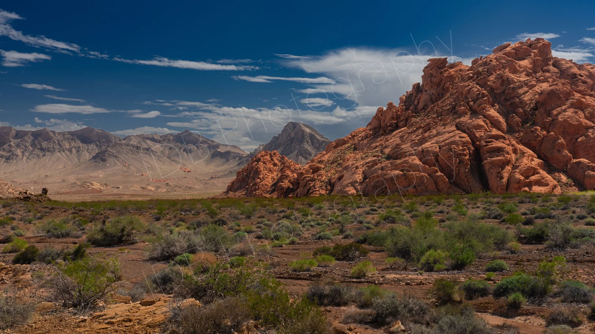 A shrubby desert landscape in the Valley of Fire, Nevada, with a large mass of irregular red Aztec Sandstone rock with mountains and cloudy blue sky background.