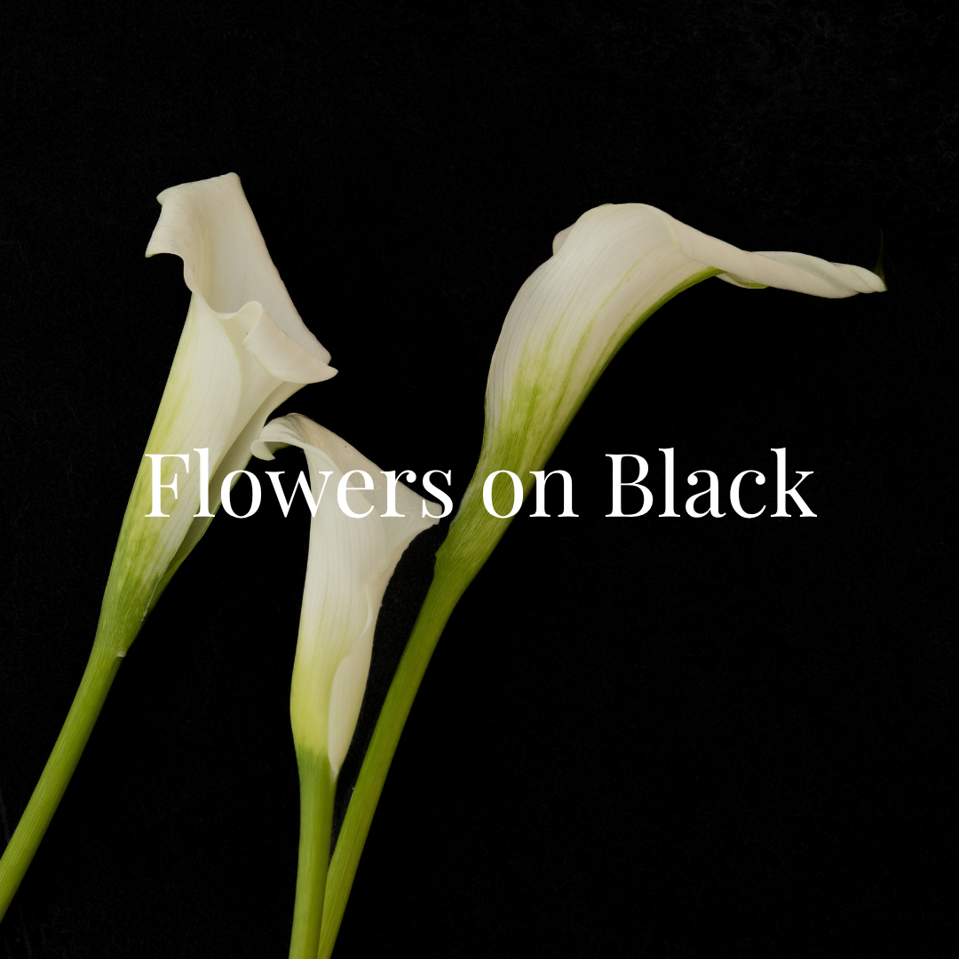 Three white calla lilies on a black background with the text 'Flowers on Black' overlayed.