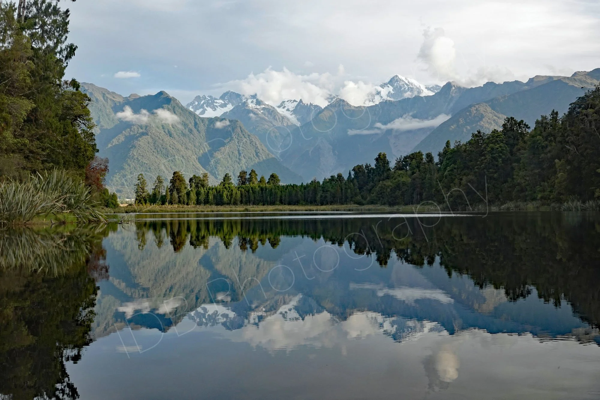 Lake Matheson, West Coast, New Zealand with surrounding trees and reflections in the water of snow capped Mount Cook.