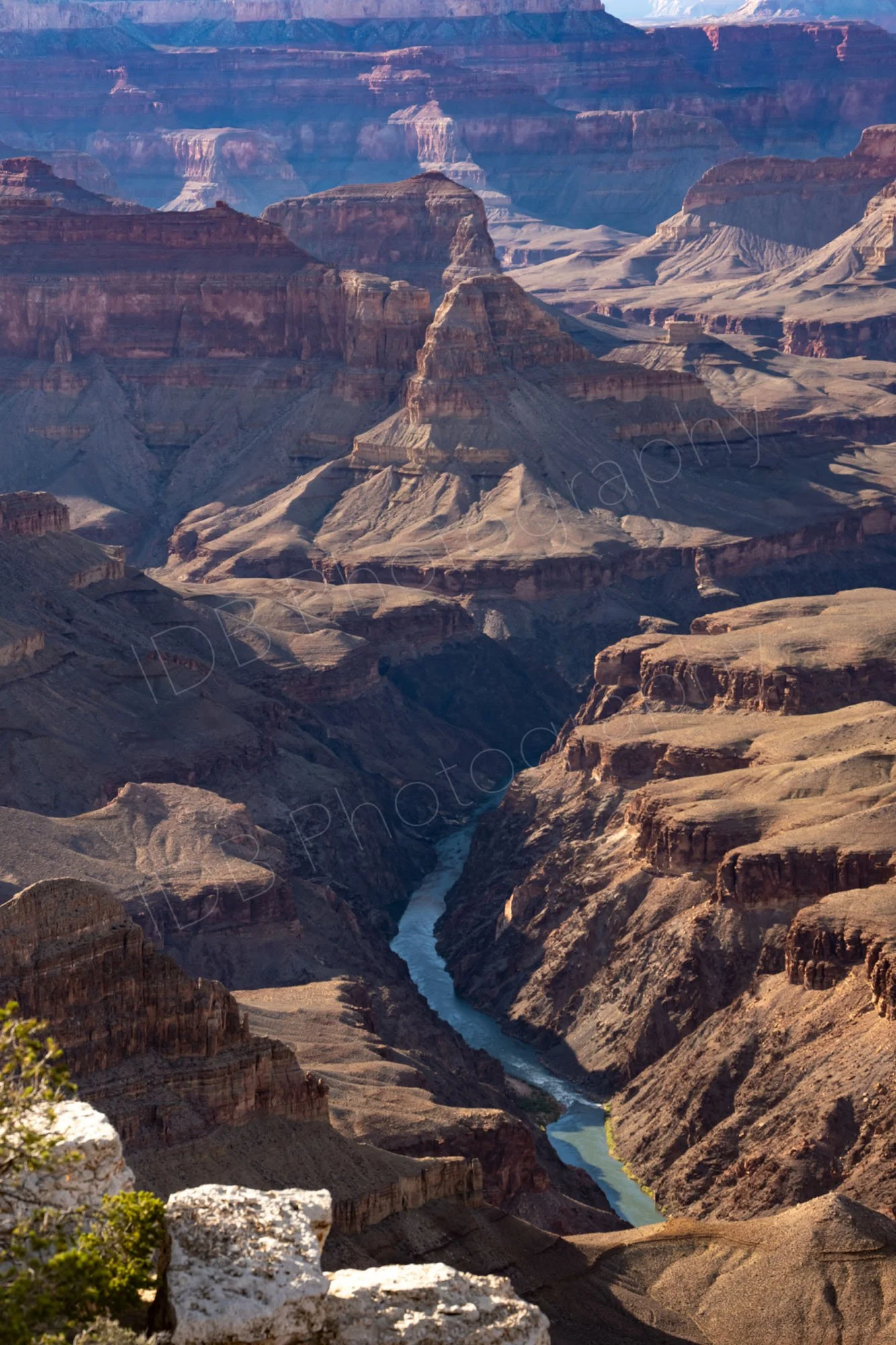 A dramatic, high-angle view of the Colorado River snaking through the layered red rock cliffs of the Grand Canyon in Arizona, USA.