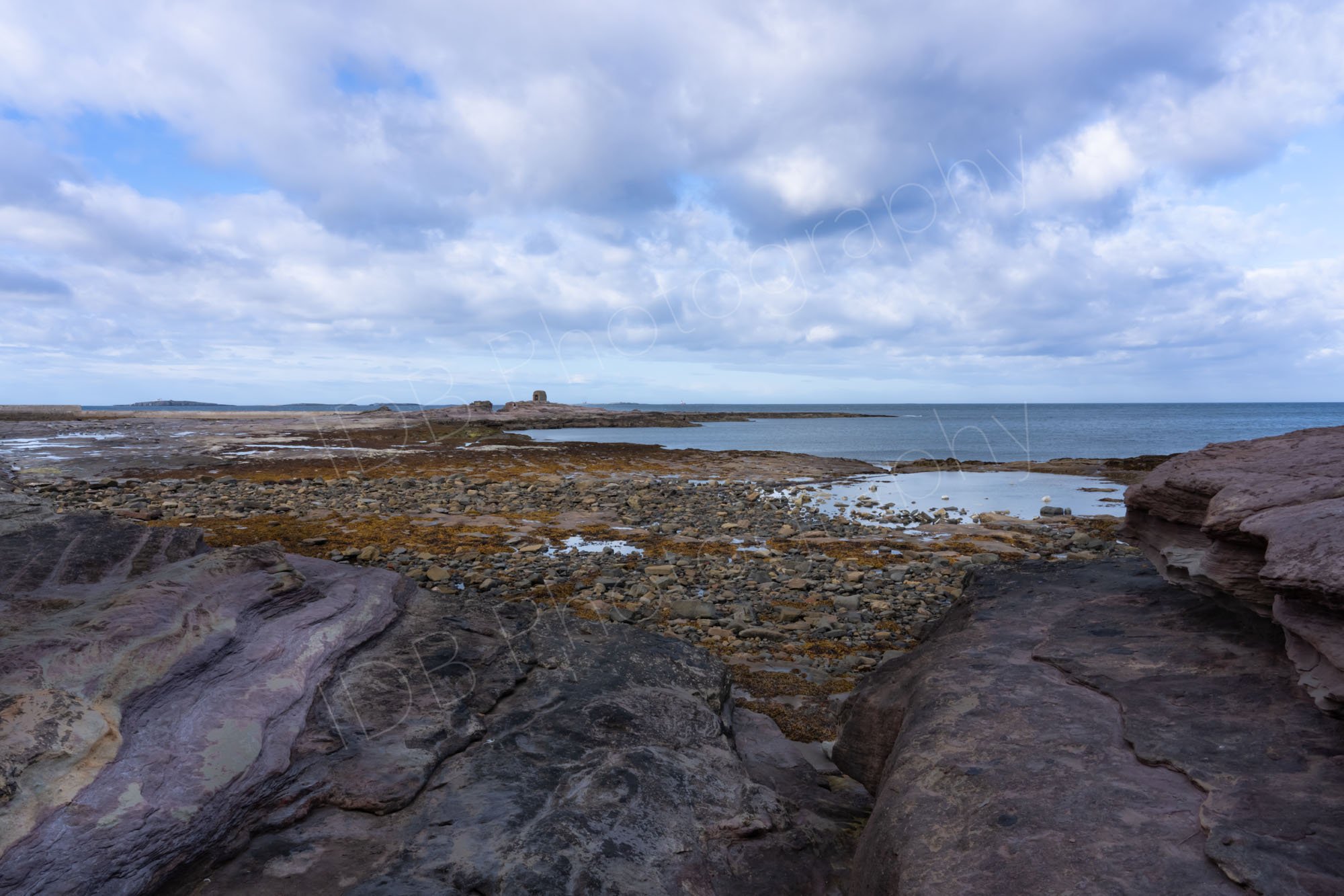 The rocky coast and wave-cut platform near Seahouses  harbour in Northumberland, with the small historic Powder House in the distance.