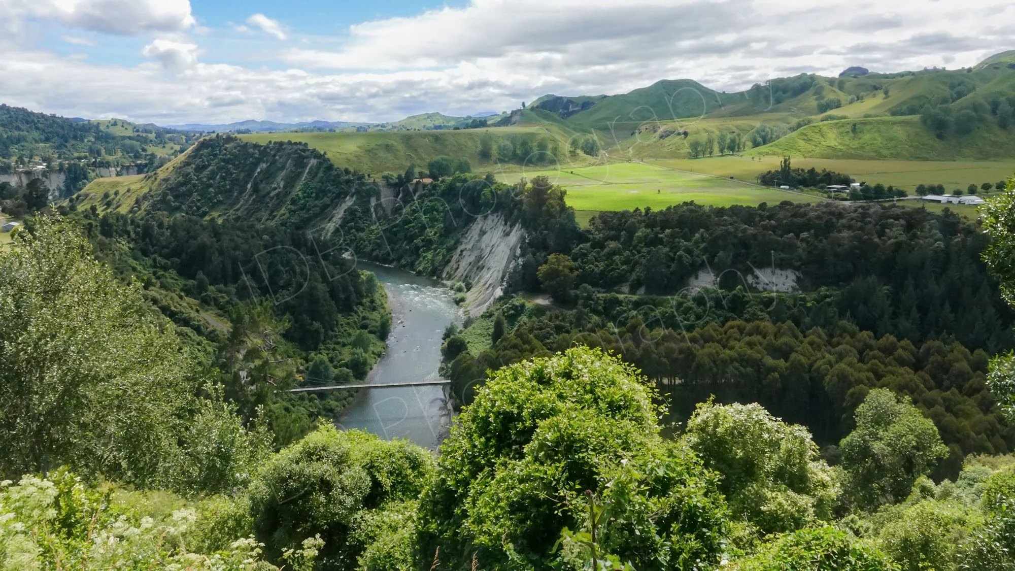 Rangitikei River gorge surrounded by trees and fields, near Taihape,  Manawatu-Whanganui region, New Zealand,
