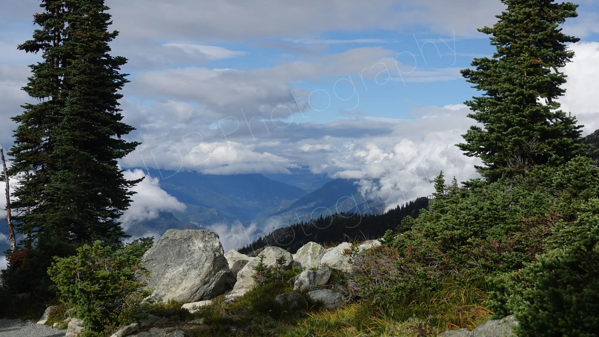 A view from on top of the mountains at Whistler, British Columbia with rocks and conifers in the foreground and a valley in the distance below the clouds.