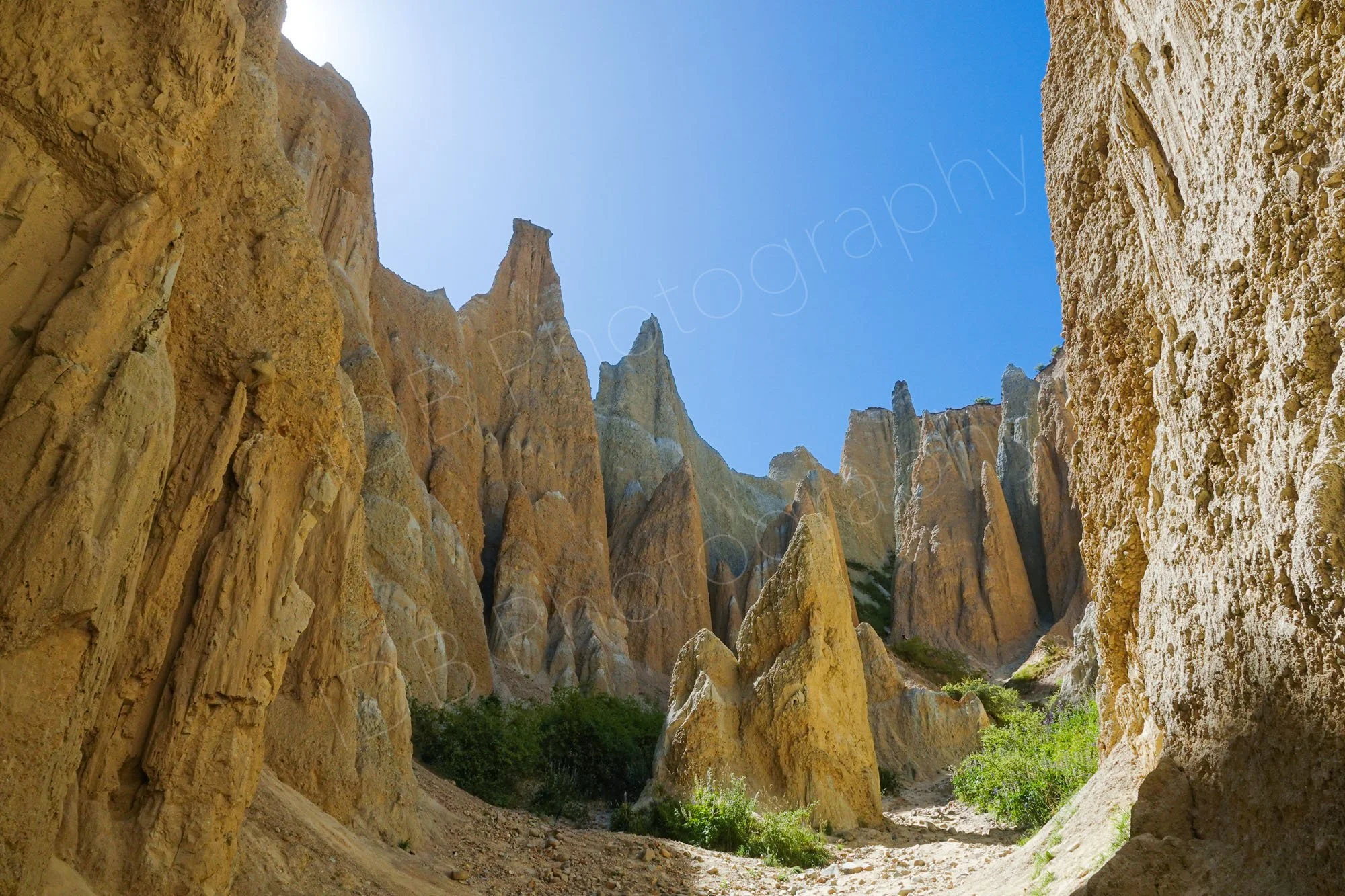 Omarama Clay Cliffs, Canterbury, New Zealand.   A localised range of clay pinnacles arising out of the ground.