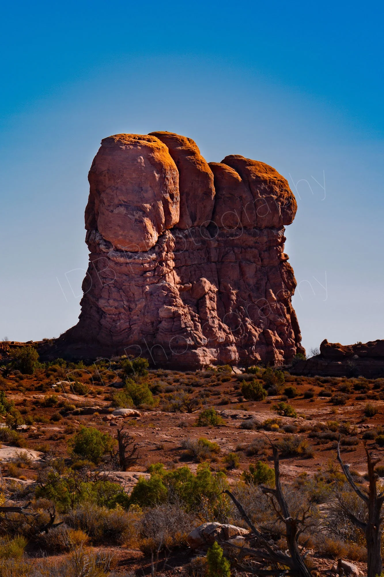 A rock formation at Arches National Park, Utah with the front pillar having a "wide smiley cartoon face"; desert foreground, blue sky.