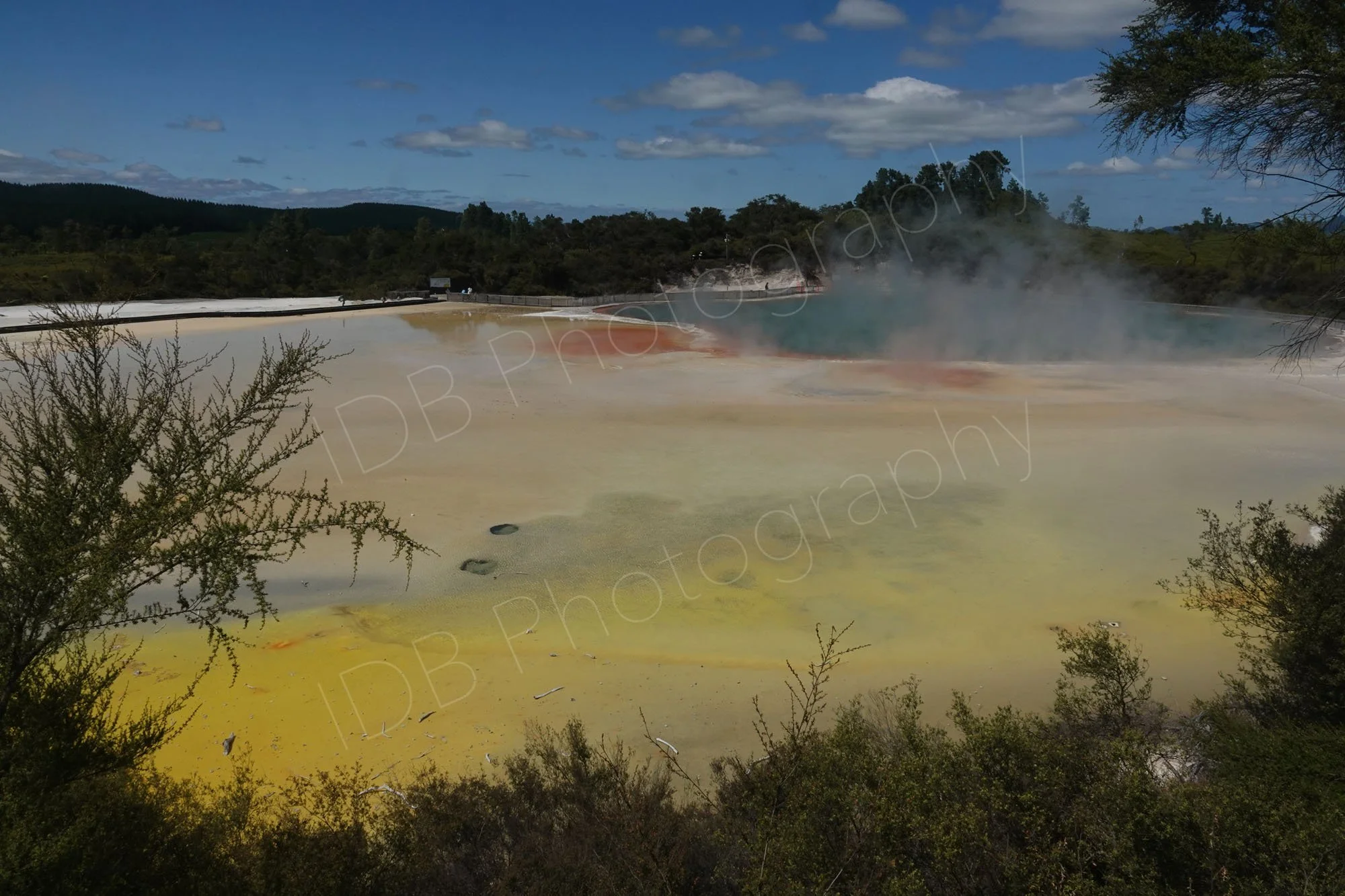 The Champagne Pool, Wai-O-Tapu Thermal Wonderland, Rotorua. A beautiful mix of yellow and orange minerals and steaming blue water  framed by vegetation. 
