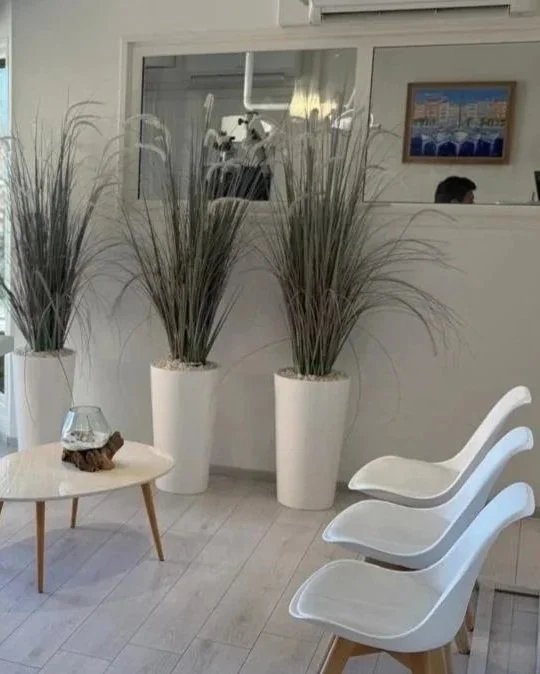 Salle d'attente, Cabinet Dentaire du Port Hyeres, Delphine Prestat et Arthur Mathaut