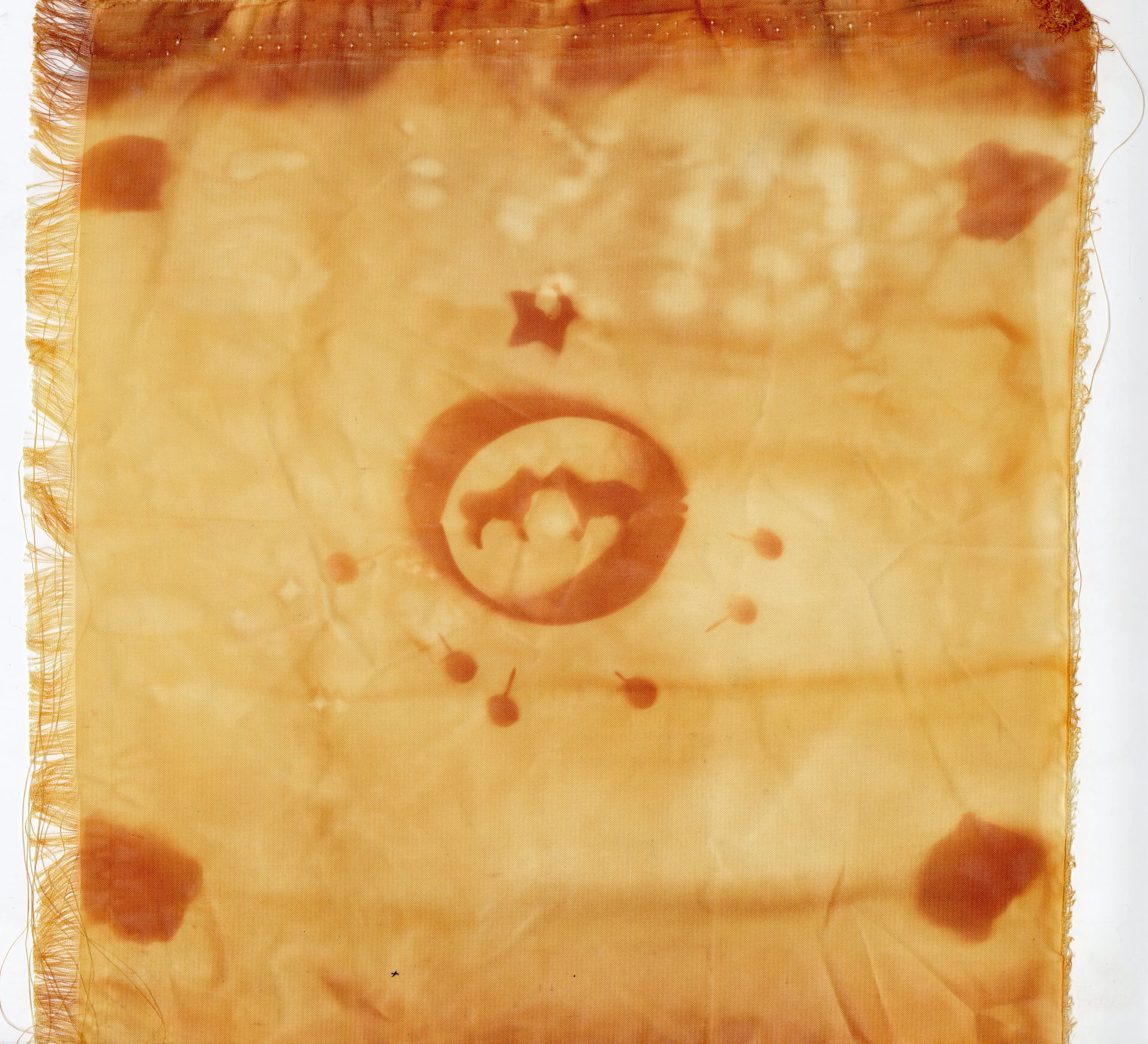 Heather Stewart

Holy is the Copulation Ovine

2026
Turmeric anthotype
12 x 12”

NFS (not for sale)