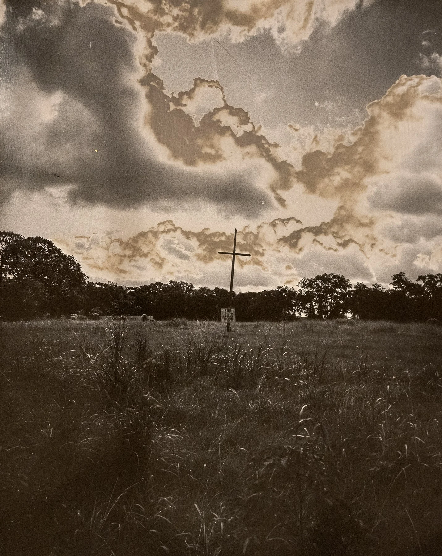 Seth Cook
