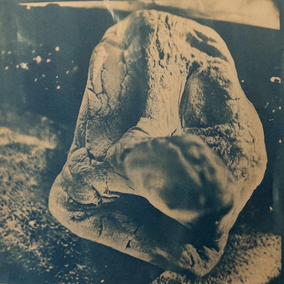 Em Koenig -

Head A1,

2023,
Toned cyanotype mounted on panel
