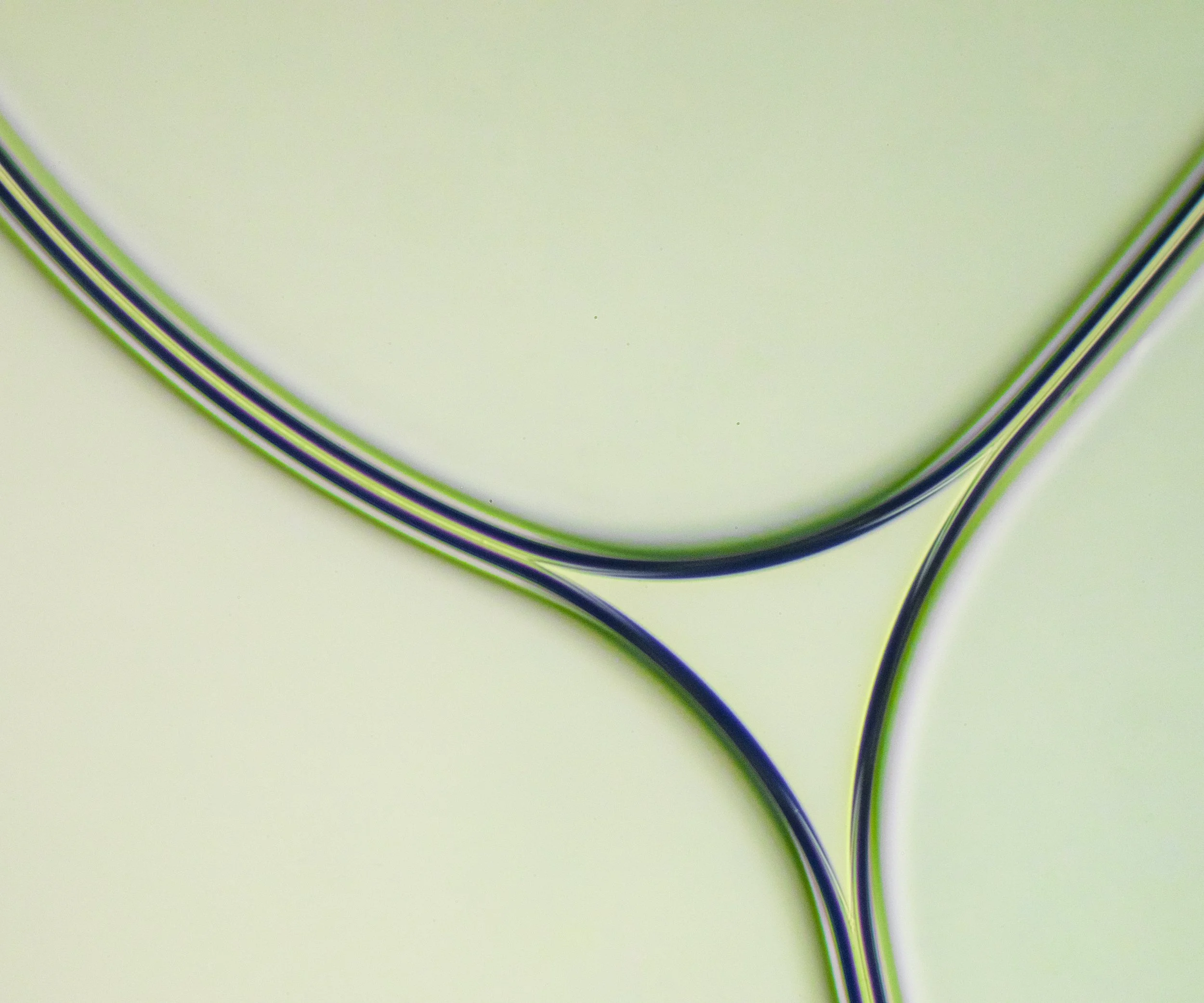 Grace Kusek - 

Saliva Study II,

2026,
Archival inkjet print, photomicrography using a light microscope and self-made bellows,
24 x 20”,

$175