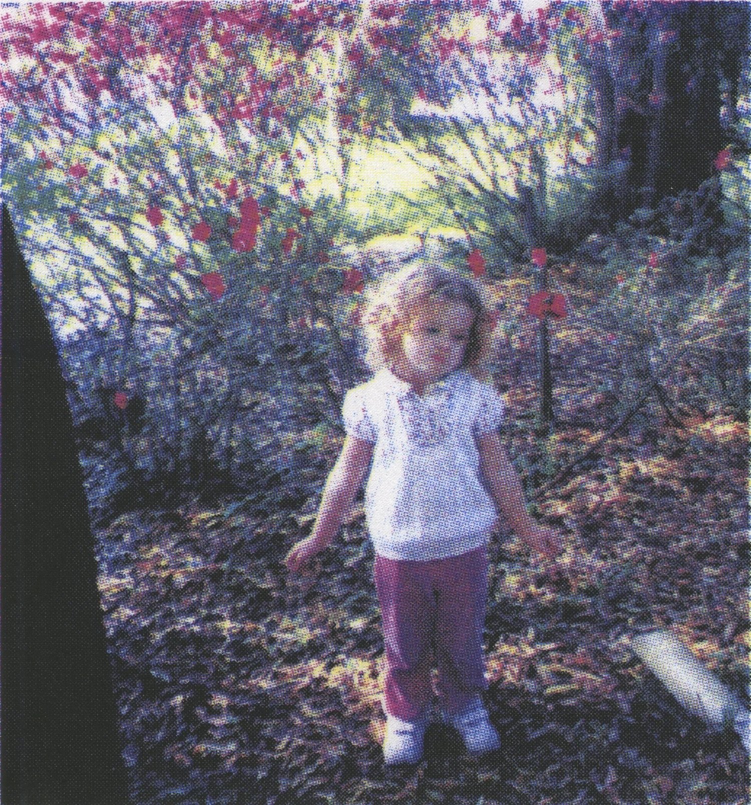 Heather J. Stewart, 2026