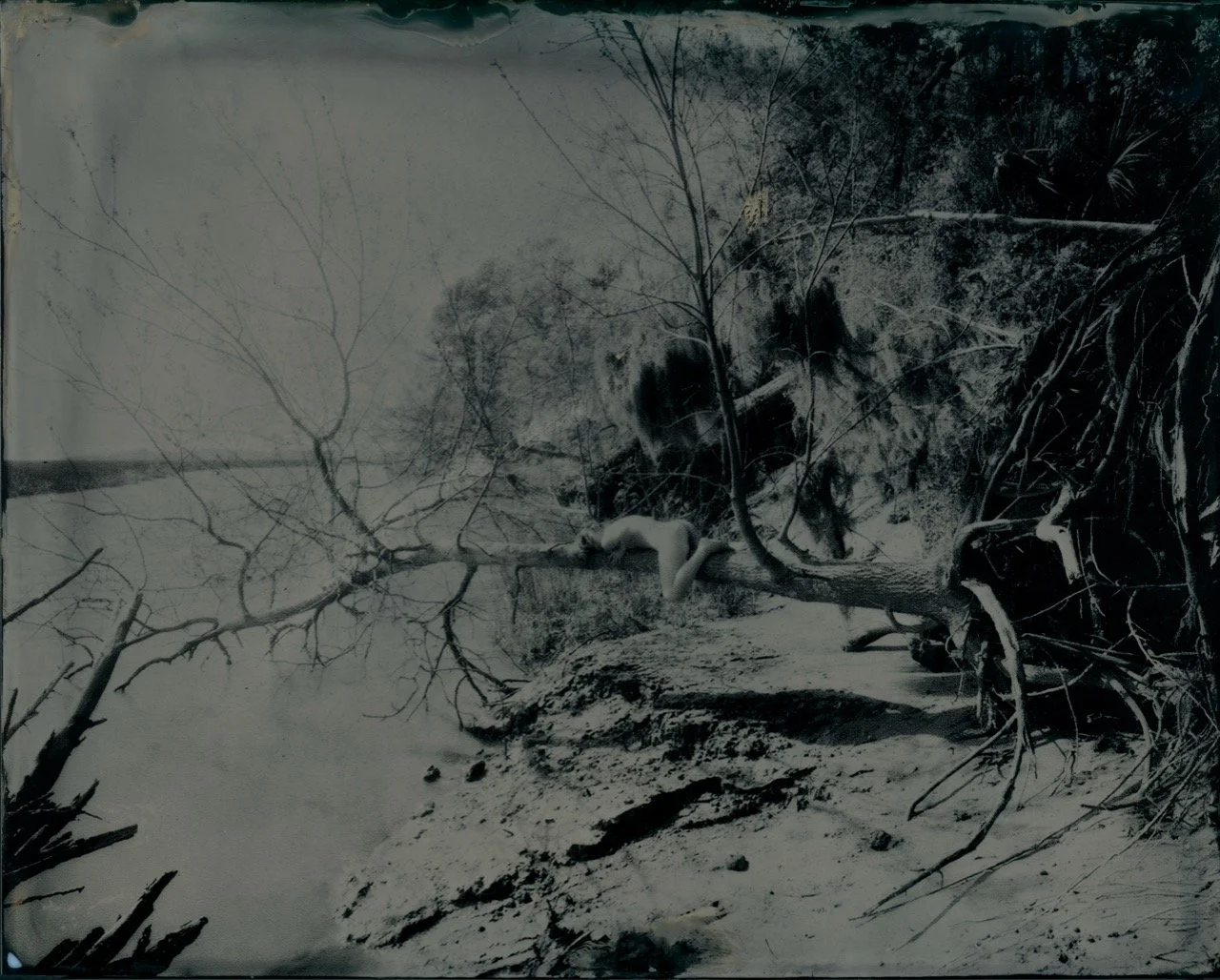 Jack Snelson - 

Heather Groves Creek,

2026,
Tintype,
8 x 10”,

$600