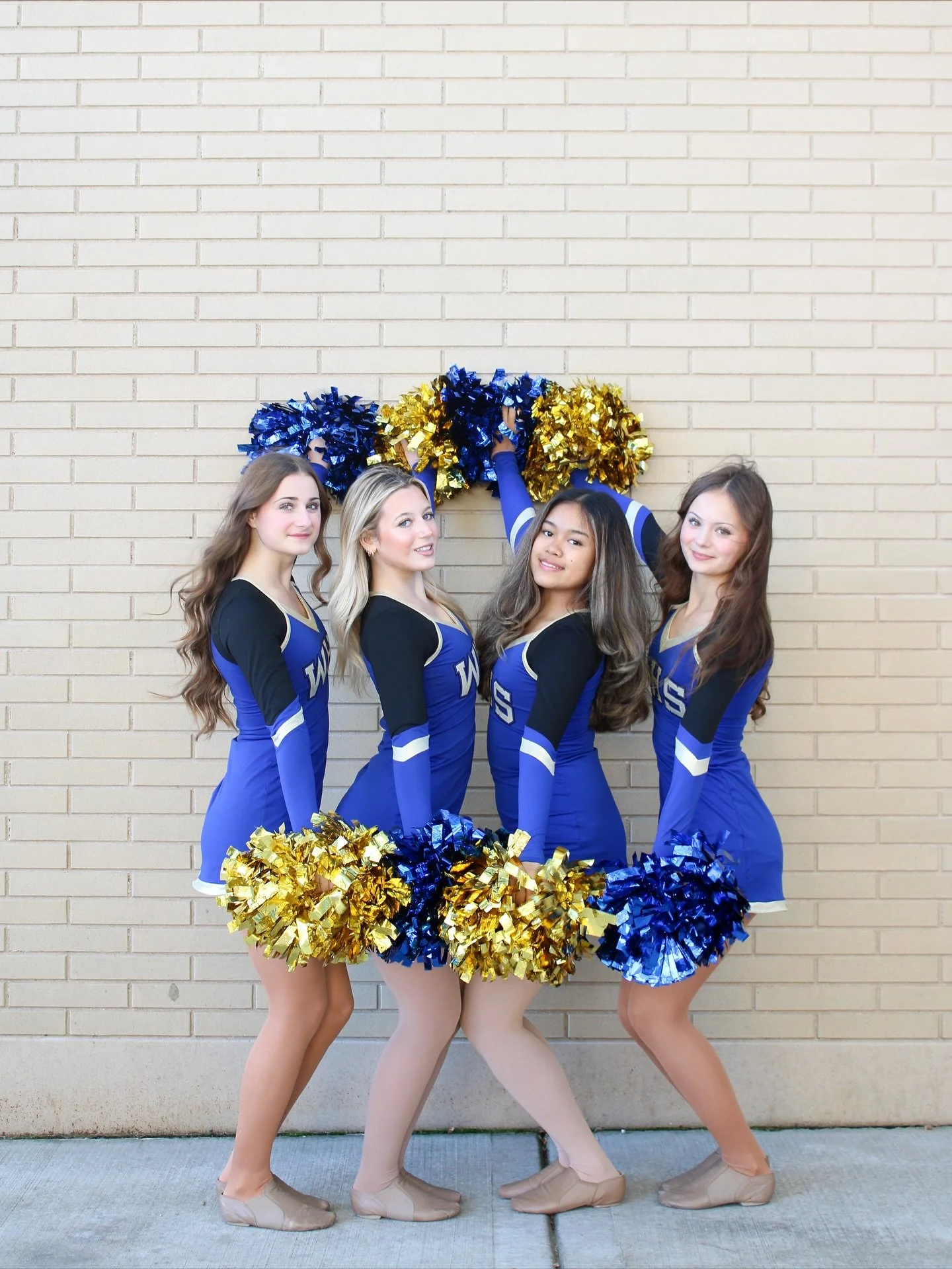 wednesdays are for the wheeling pomcats 💙💛