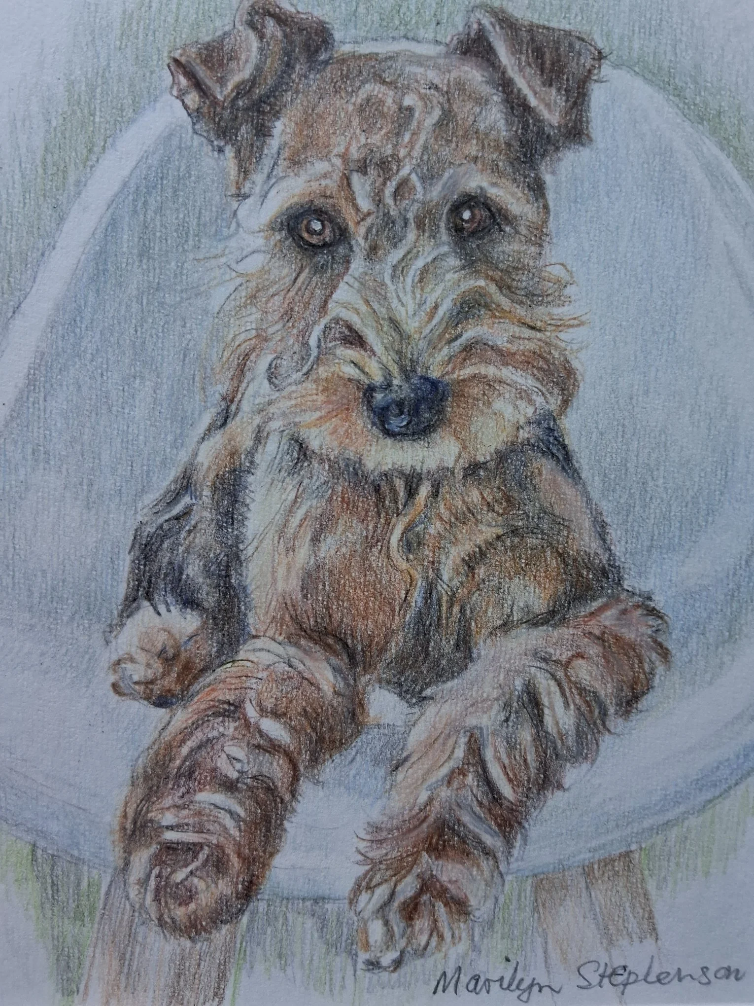 Nancy, watercolour pencil commission