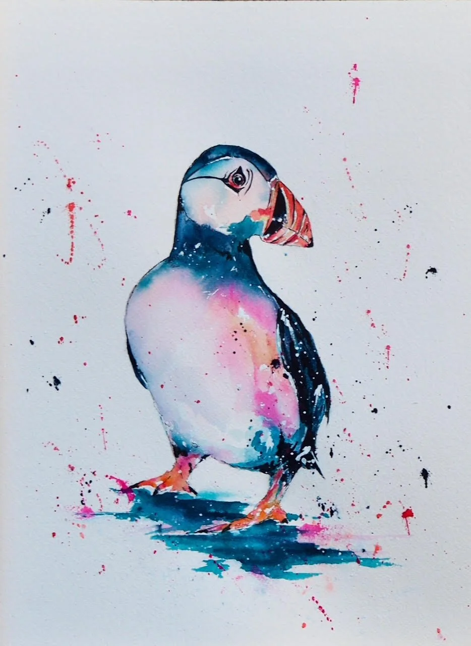 Perky Puffin, Watercolour