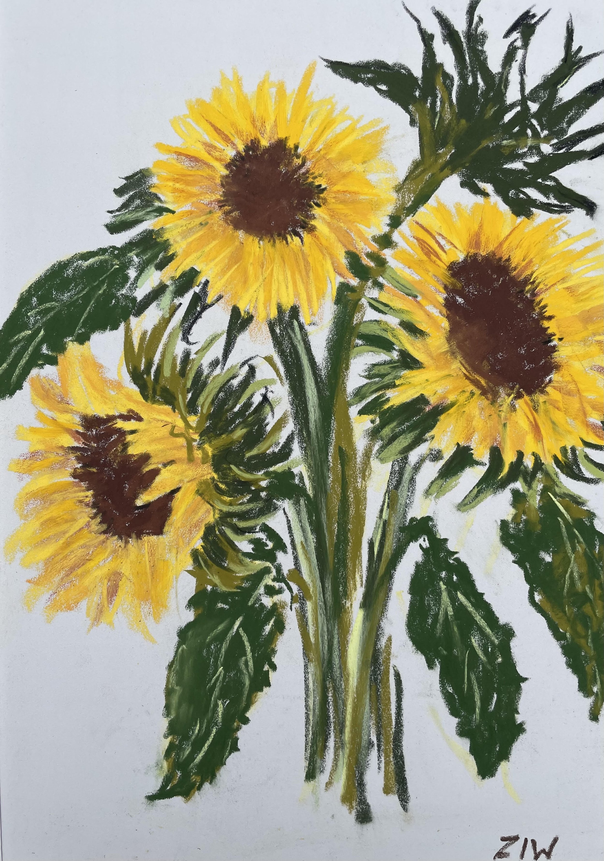 Sunflowers, pastel