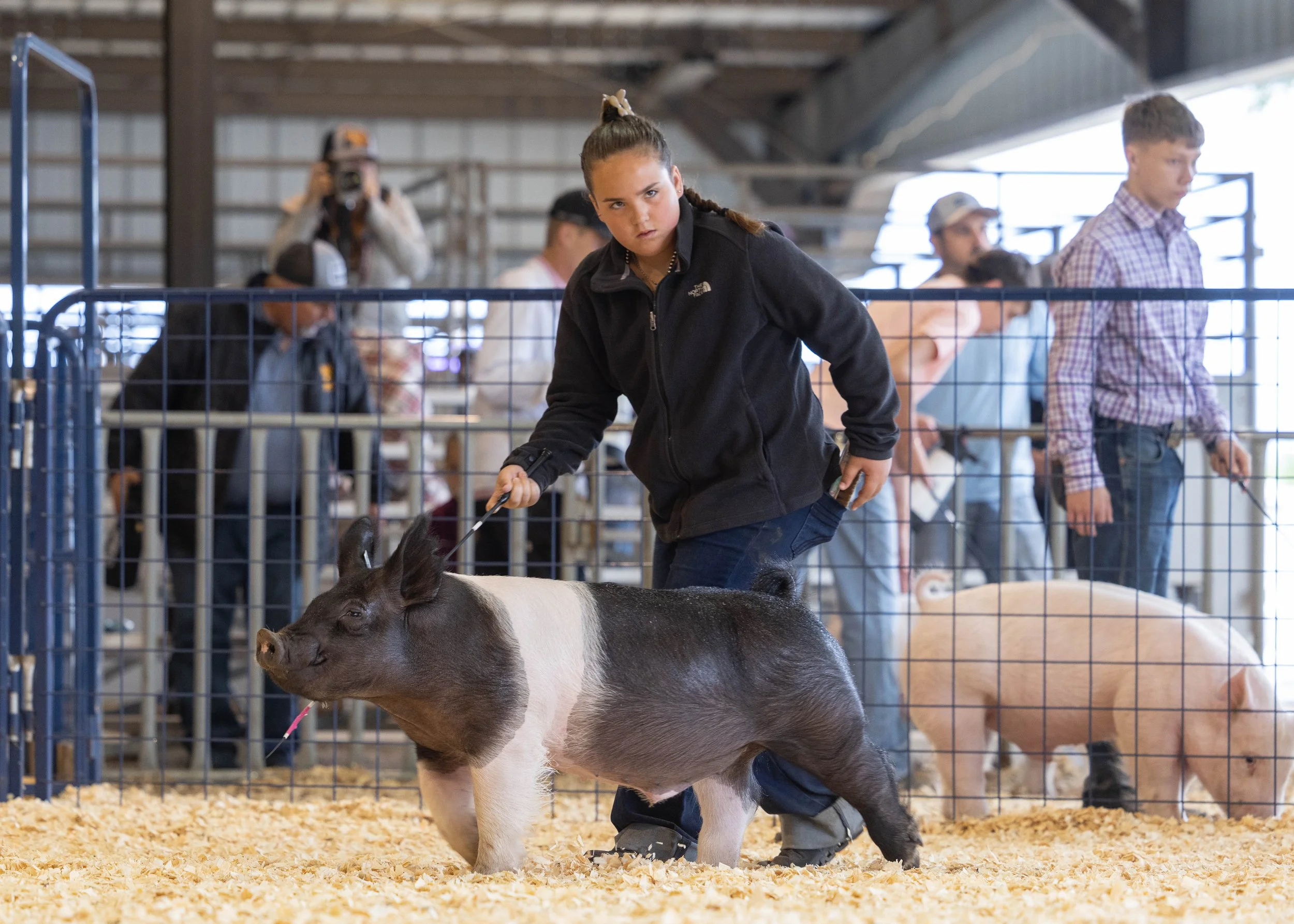 HogShow-124.jpg