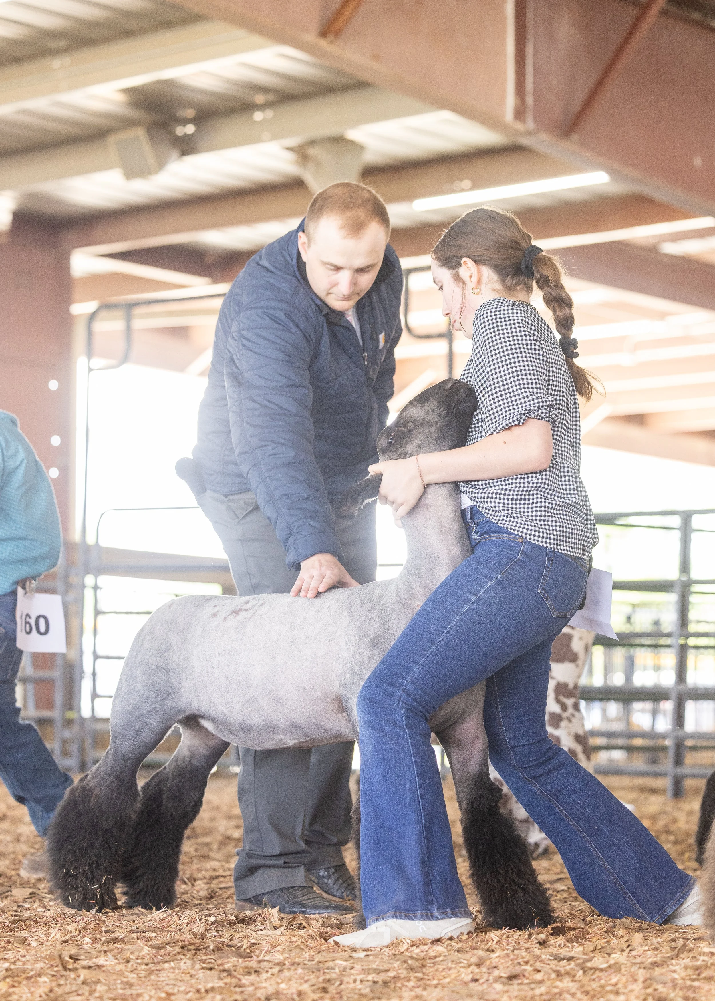 Sheep%20%26%20Goat-304.jpg