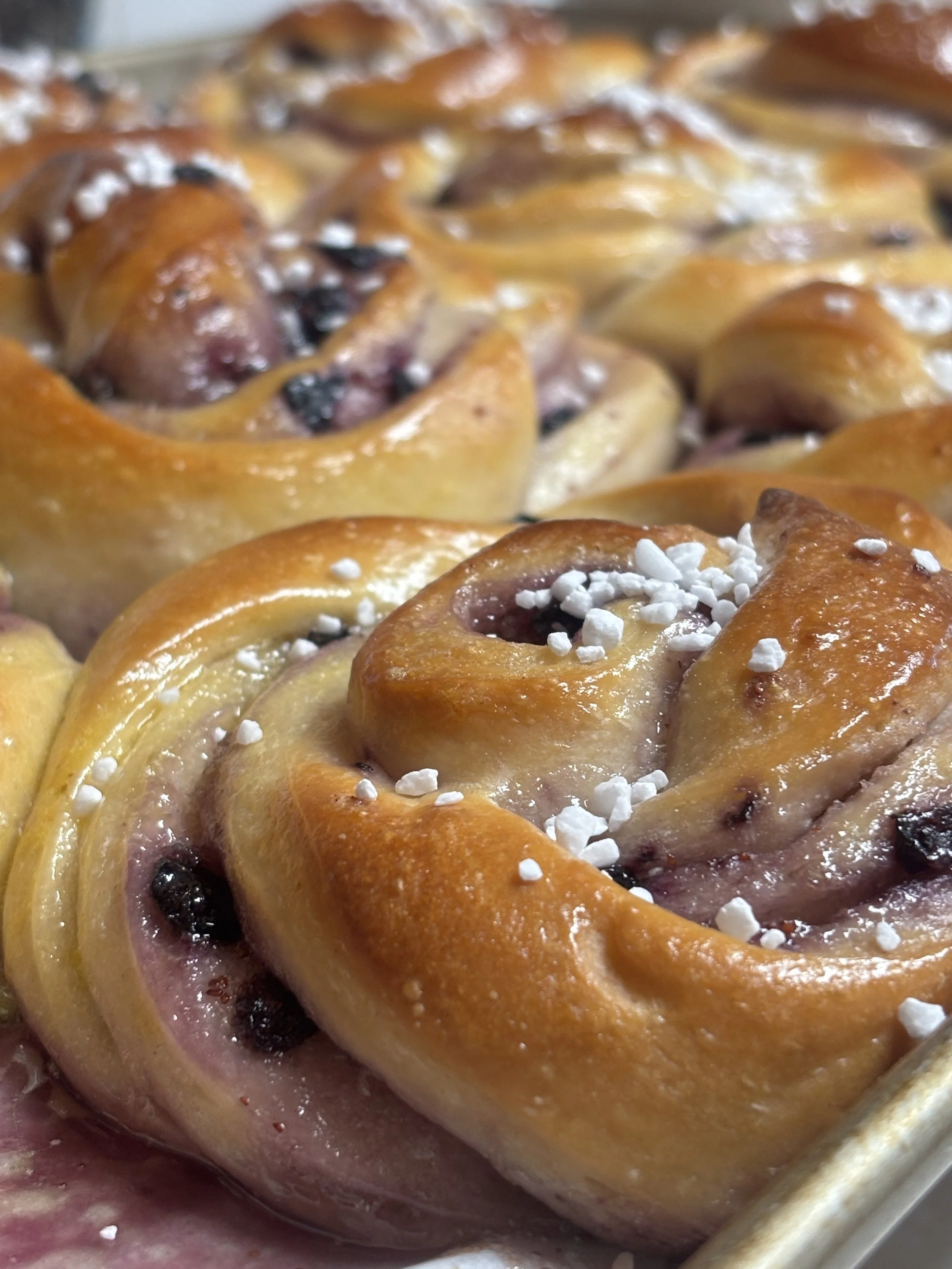 Blueberry Bun