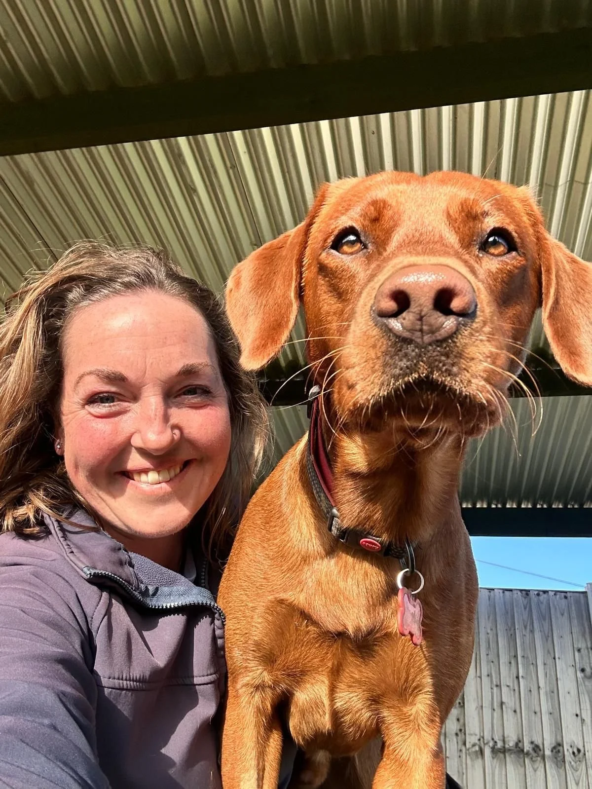 A woman smiling next to a large brown dog with a pink nose and floppy ears.