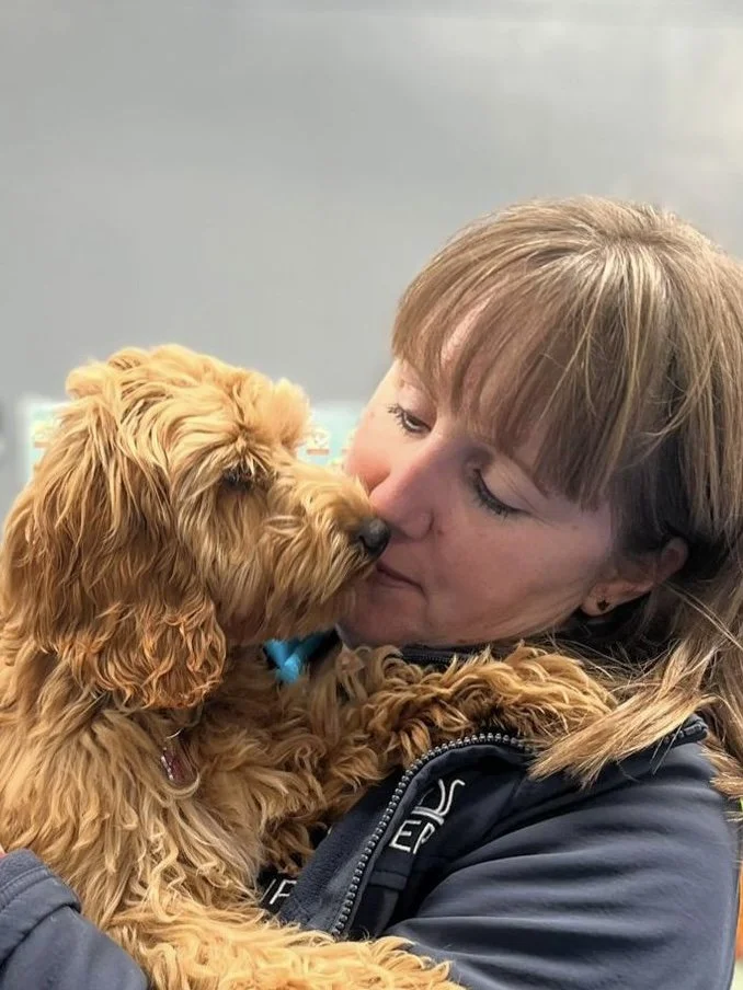 Dogs of Pipers logo in a beige circlecle.