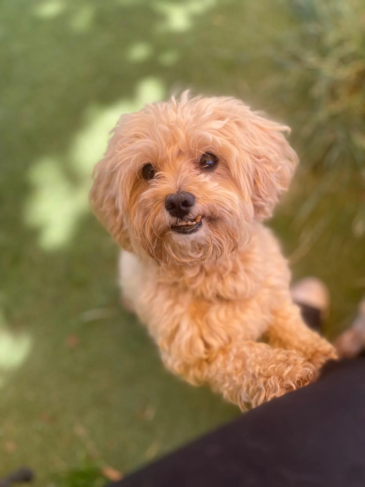 Happy play in Pipers outdoor spaces