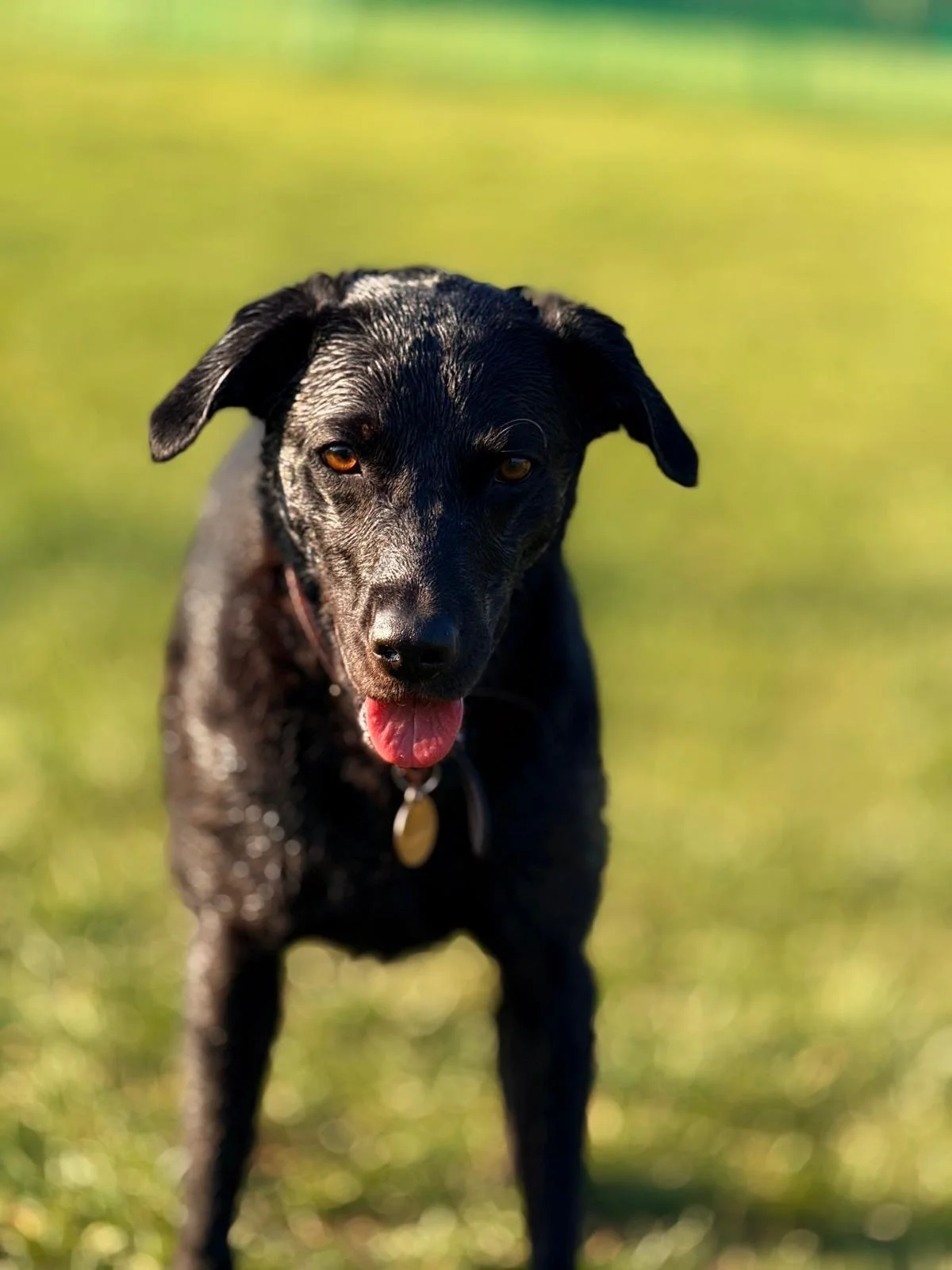 Posing in the sunshine