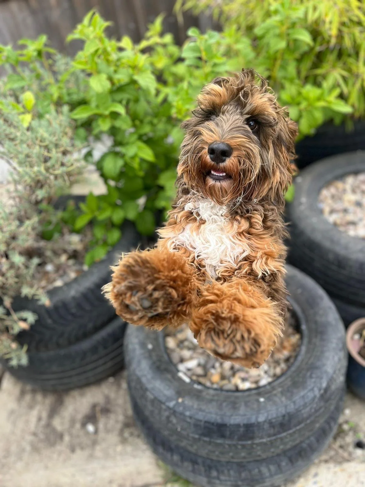 Having fun in the outdoors